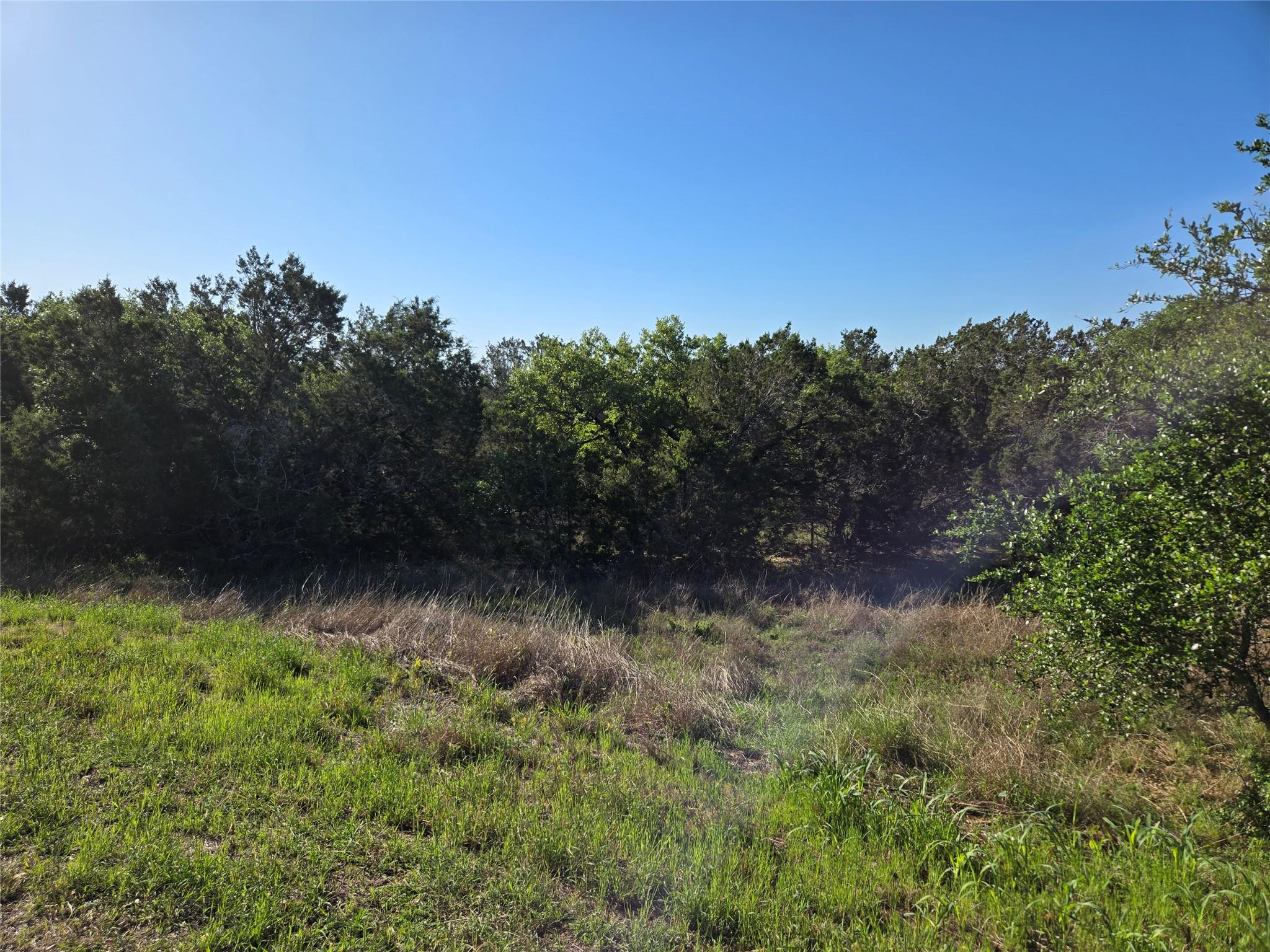 343 Falconwood Dr, San Marcos, TX 78666