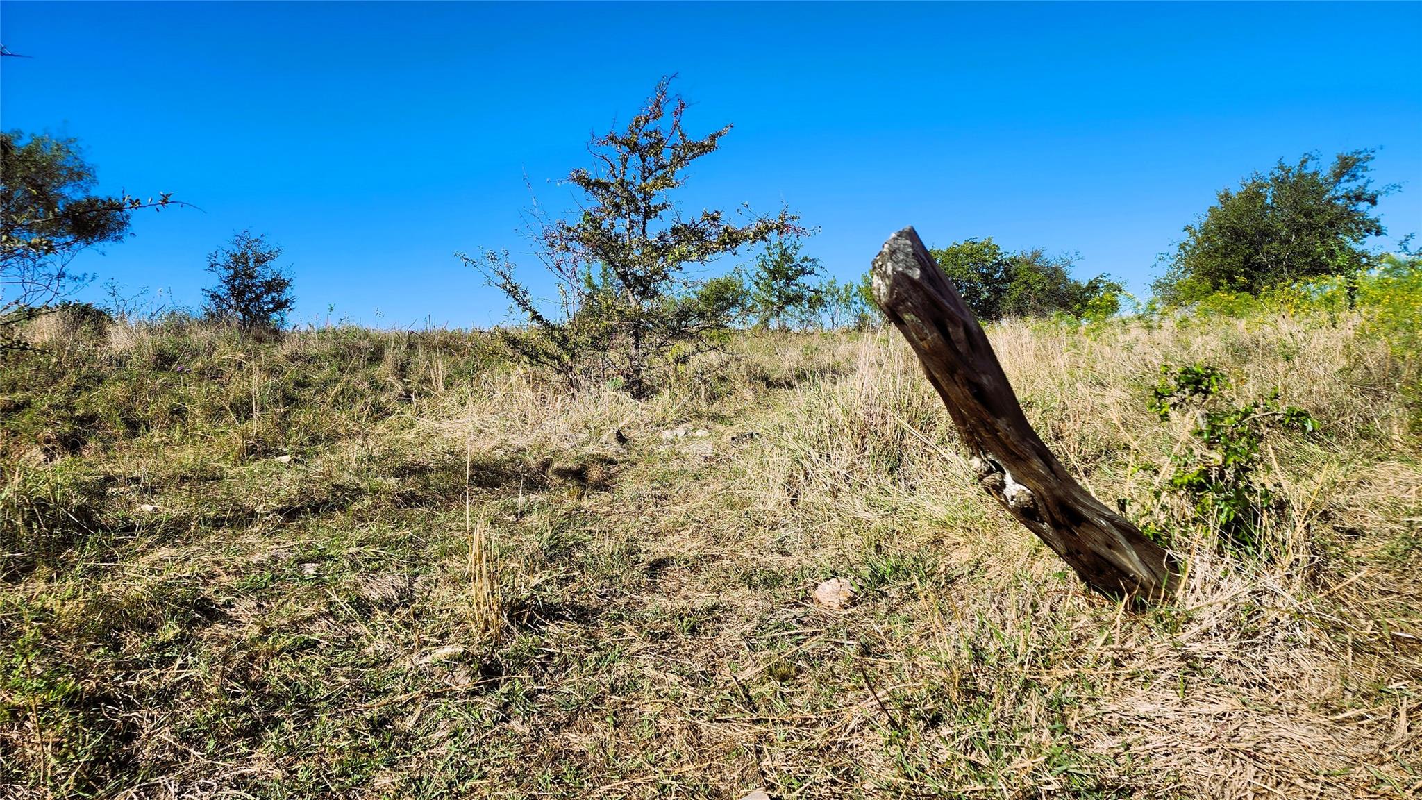 Tract 7 County Road 963, Bertram, TX 78605