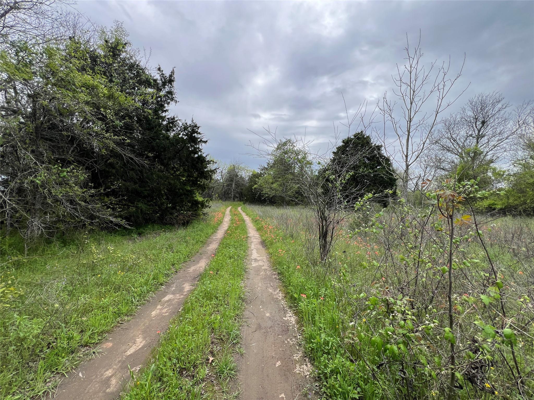0B FM 86, Red Rock, TX 78662