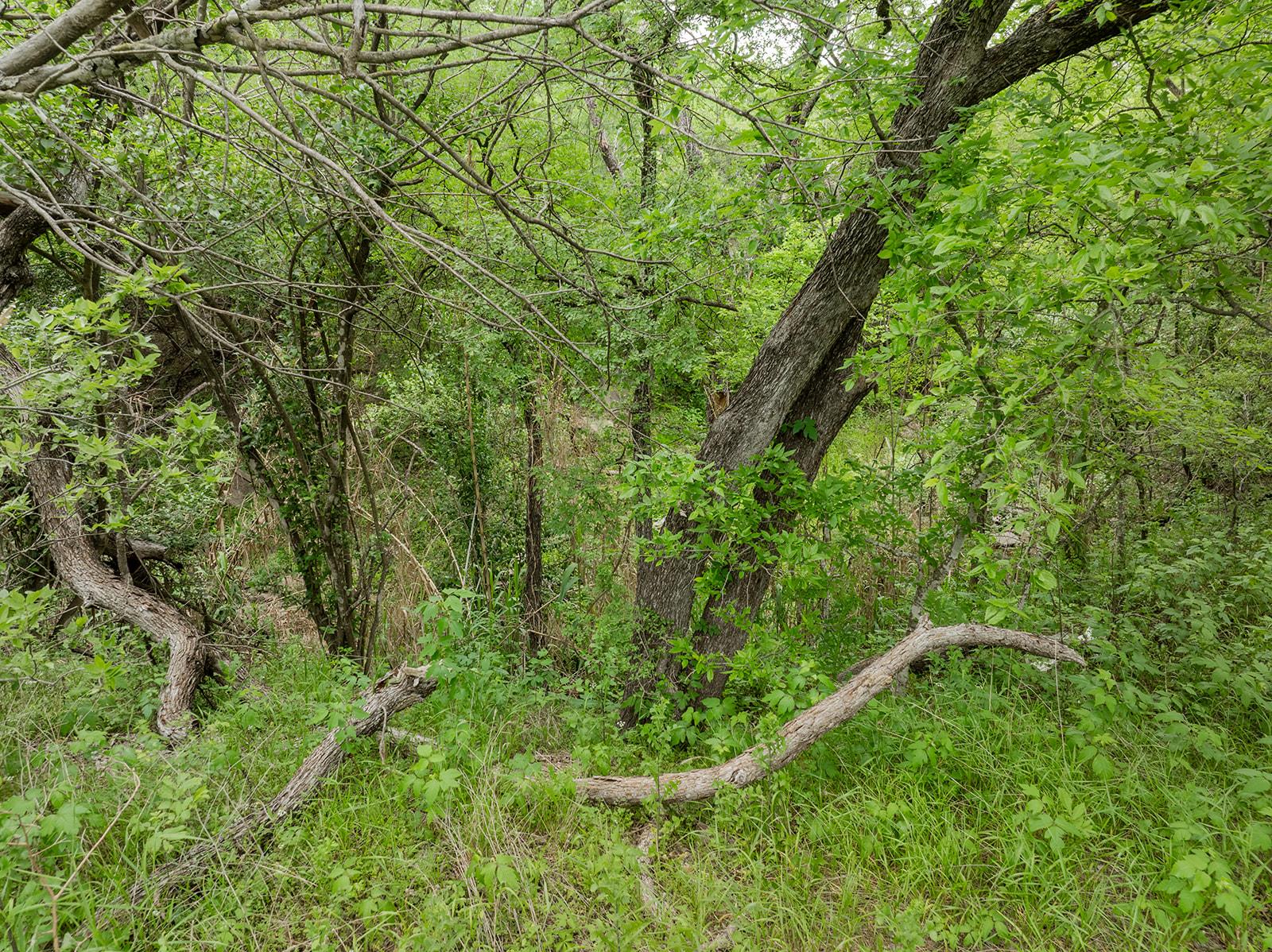 3508 E 12th St, Austin, TX 78721
