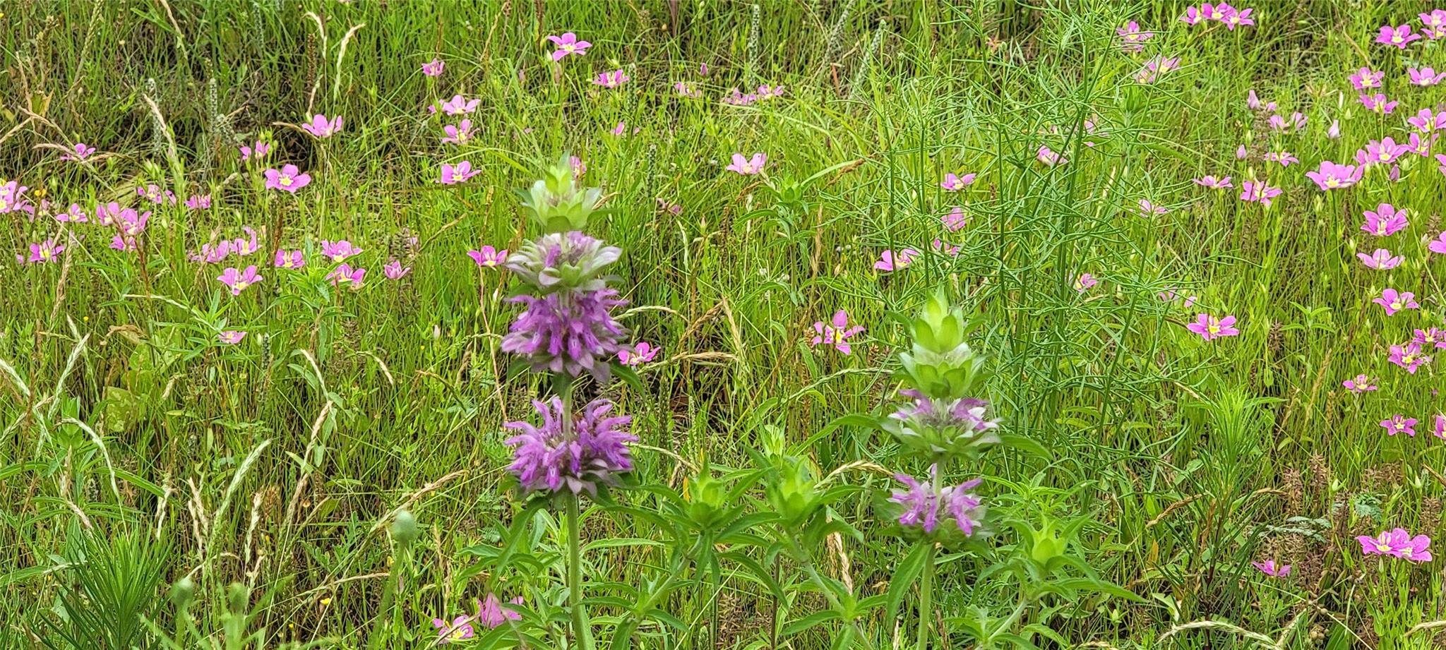 2654 County Road 321, Bertram, TX 78605