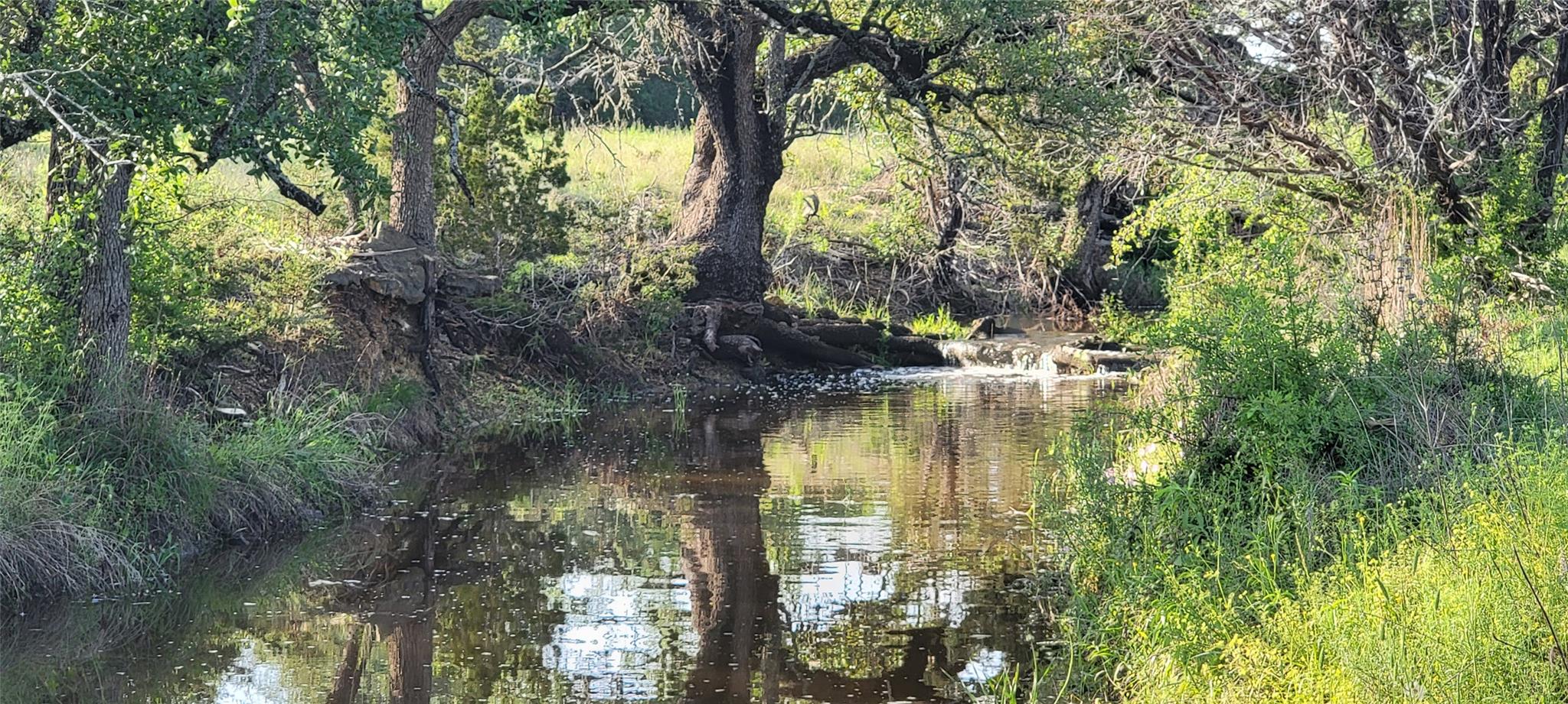 2654 County Road 321, Bertram, TX 78605