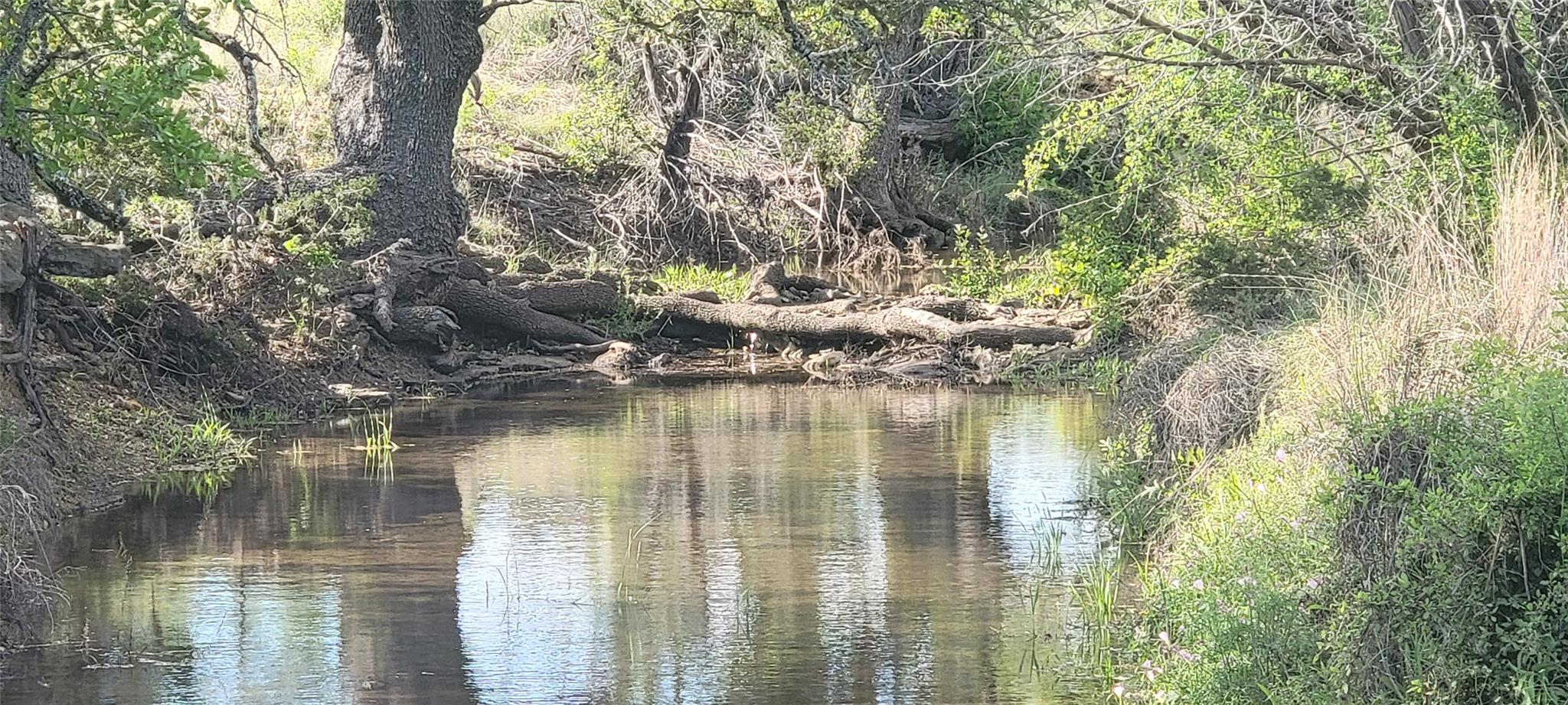 2654 County Road 321, Bertram, TX 78605