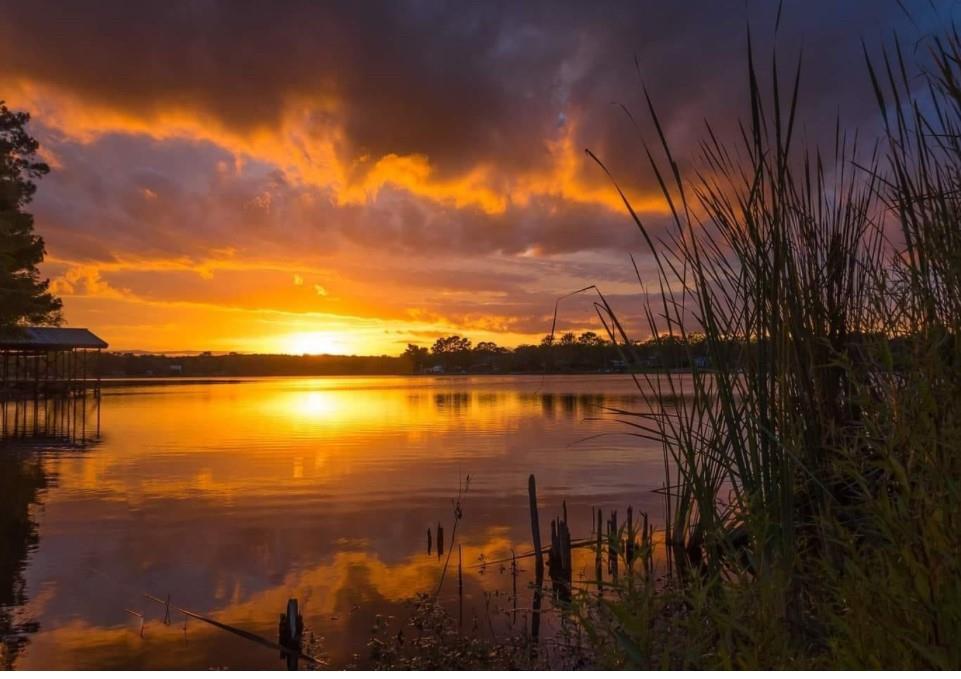 133 Deer Run, Smithville, TX 78957