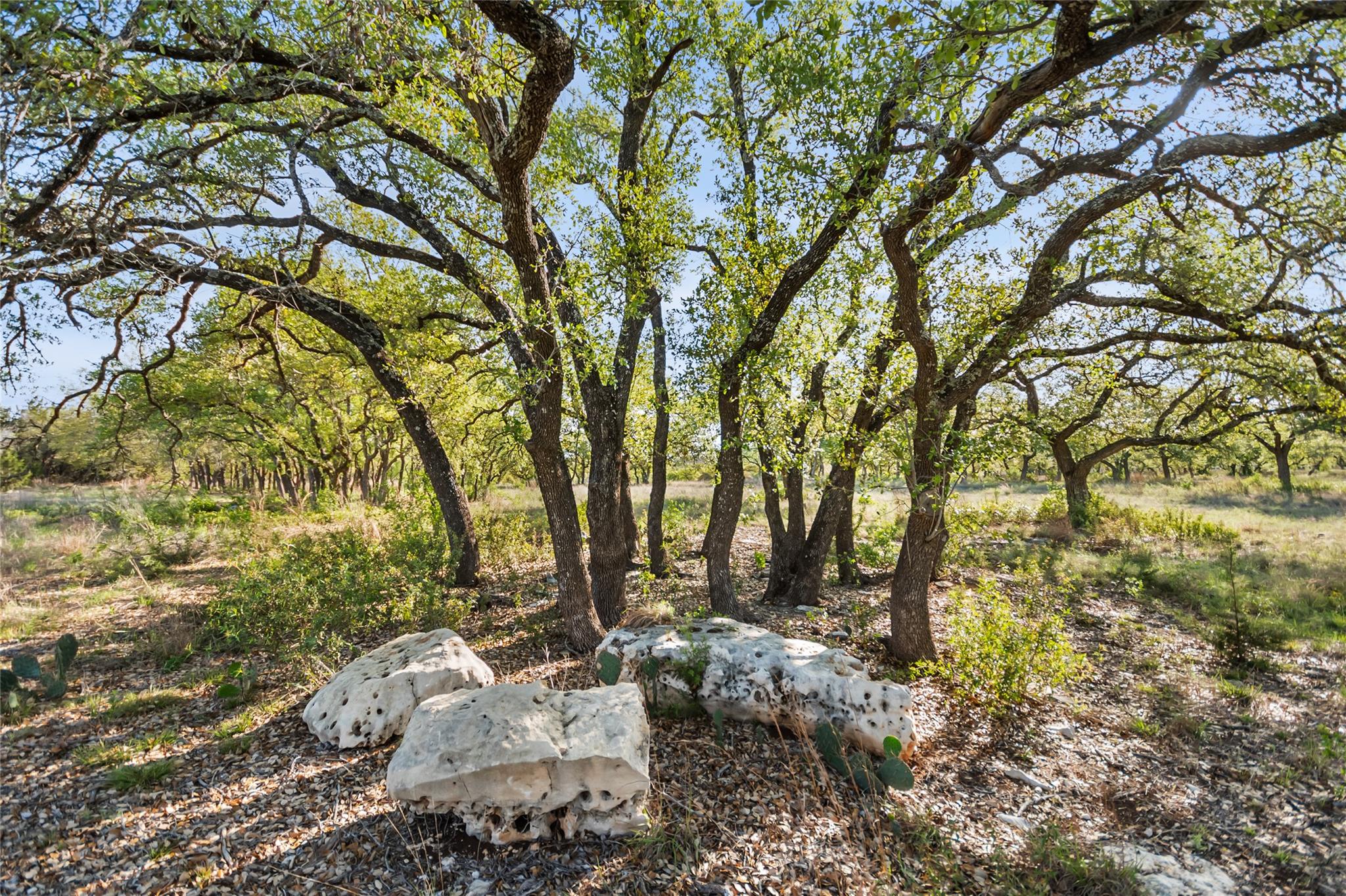 21411 Hamilton Pool Rd, Dripping Springs, TX 78620