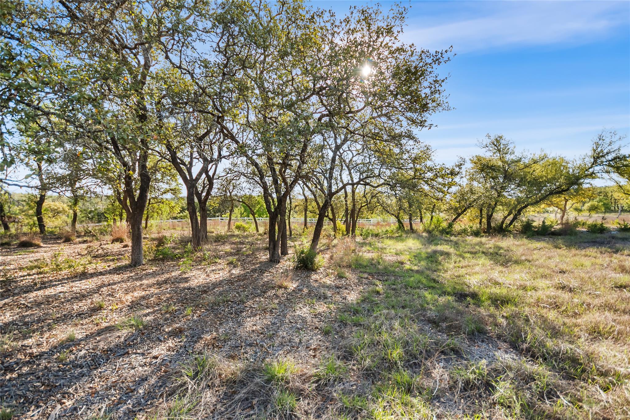 21411 Hamilton Pool Rd, Dripping Springs, TX 78620