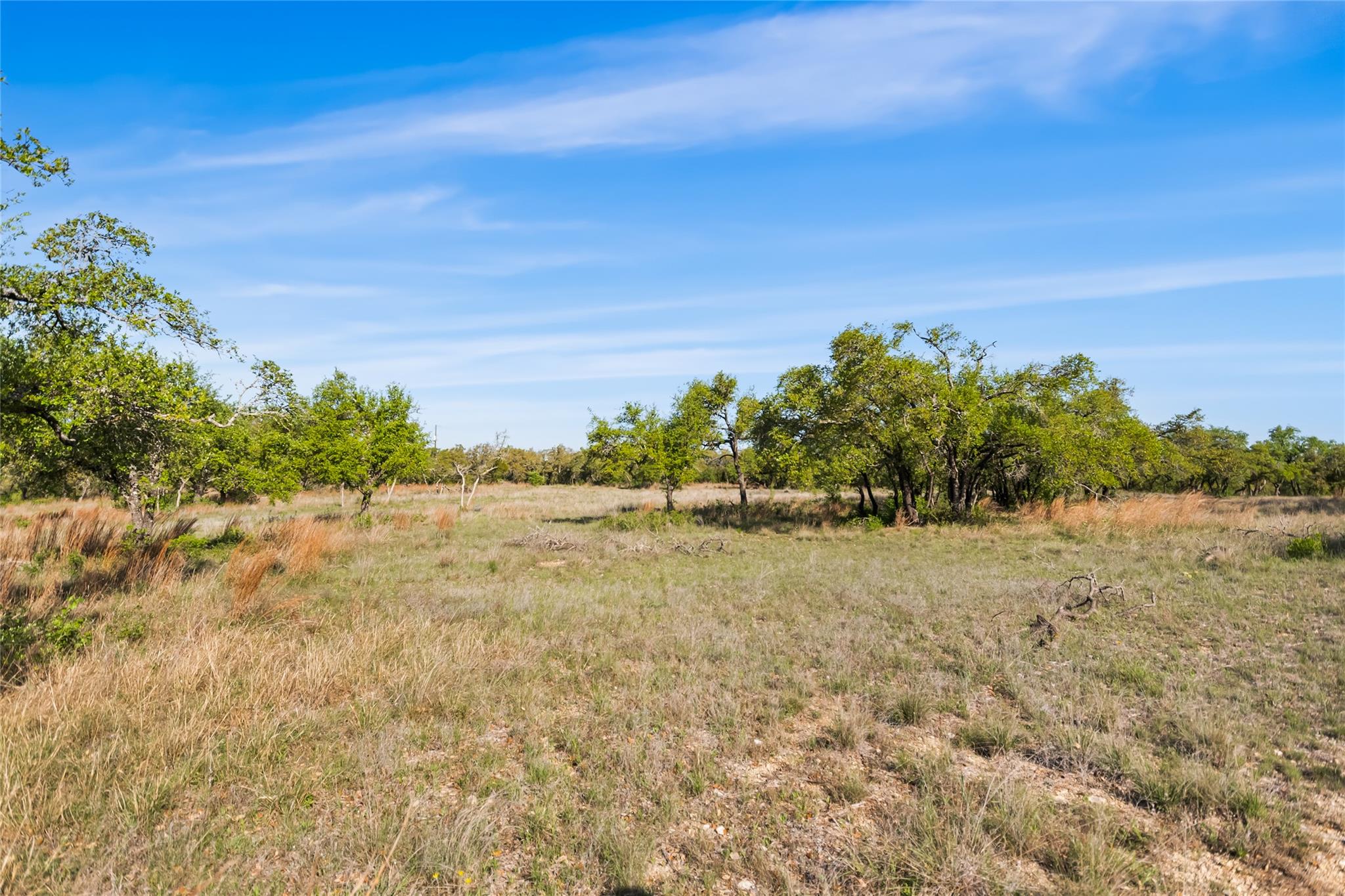 21411 Hamilton Pool Rd, Dripping Springs, TX 78620