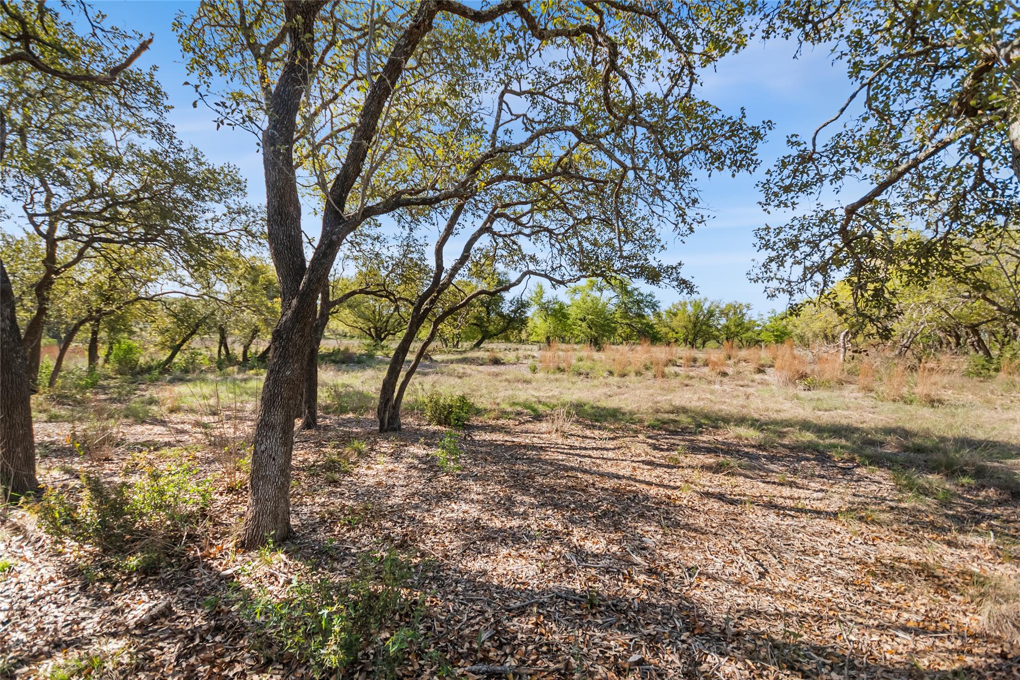 21411 Hamilton Pool Rd, Dripping Springs, TX 78620