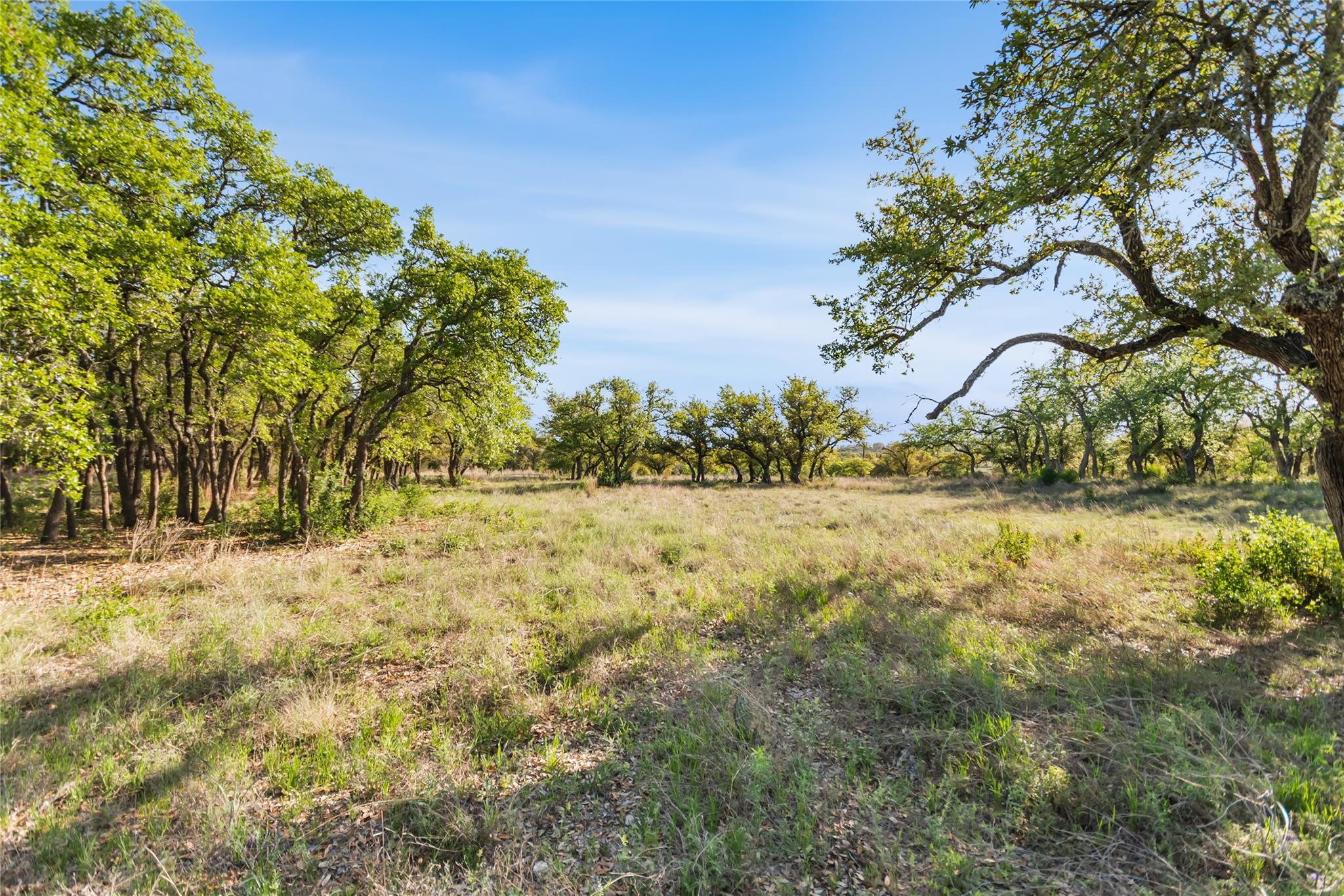 21411 Hamilton Pool Rd, Dripping Springs, TX 78620