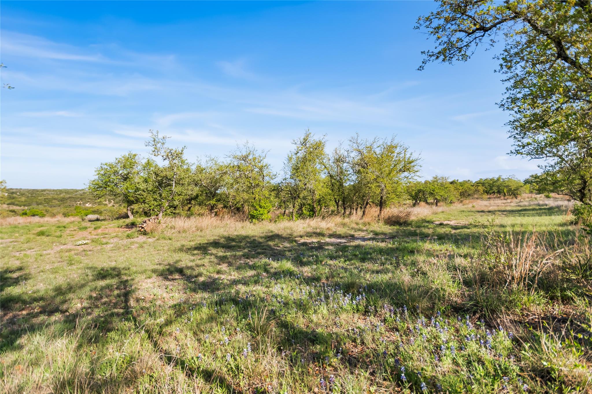 21411 Hamilton Pool Rd, Dripping Springs, TX 78620