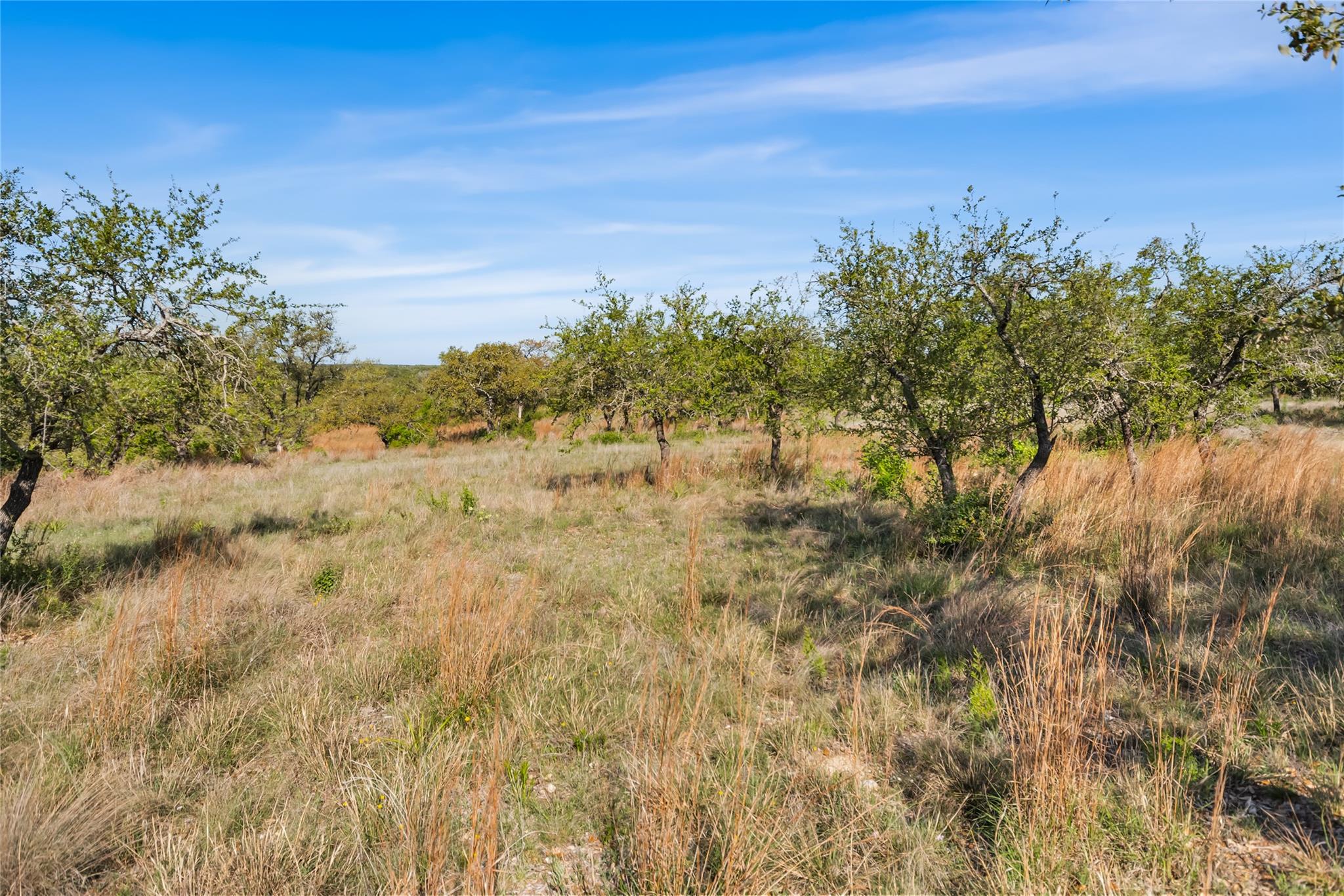 21411 Hamilton Pool Rd, Dripping Springs, TX 78620