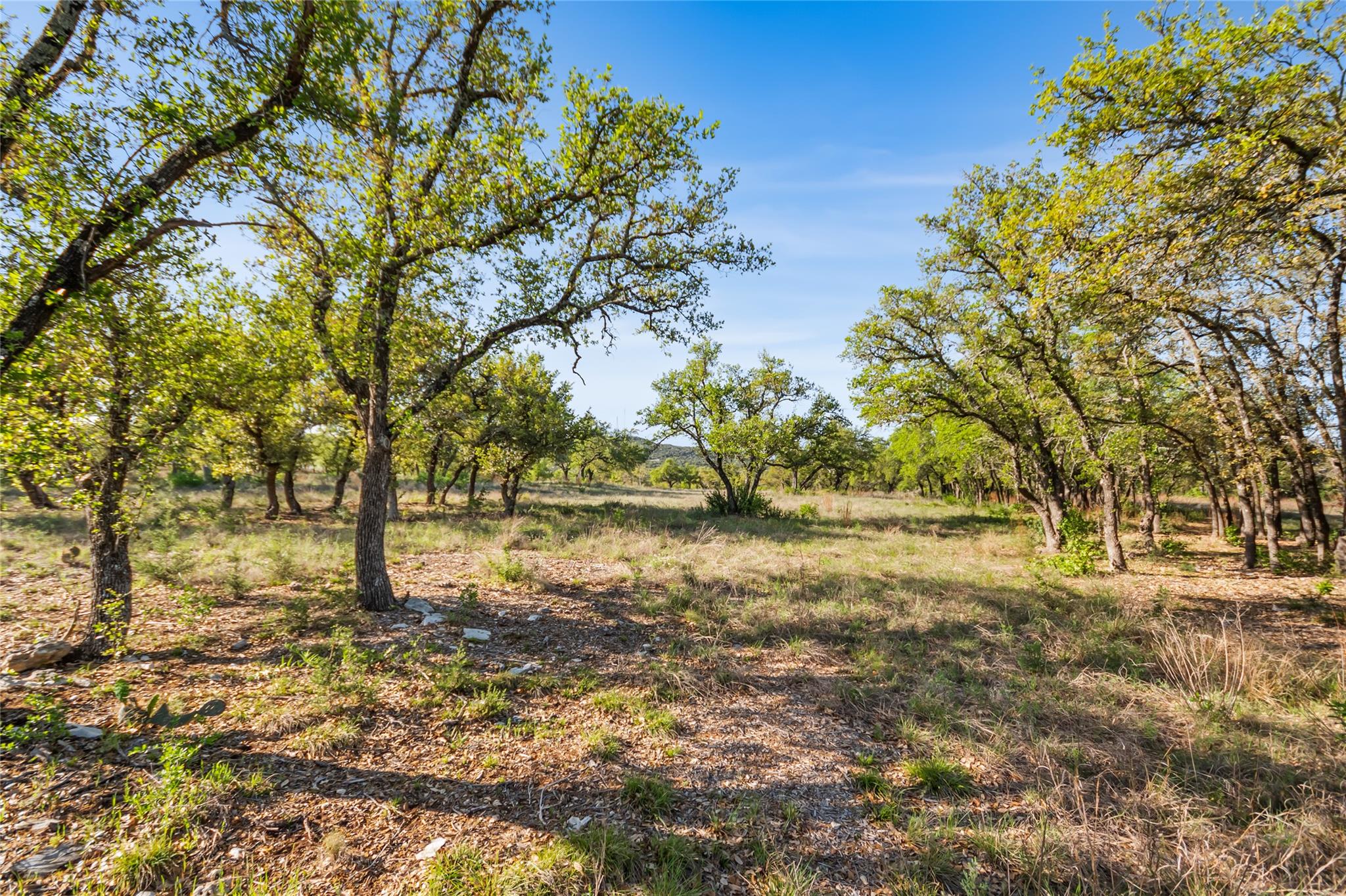 21411 Hamilton Pool Rd, Dripping Springs, TX 78620