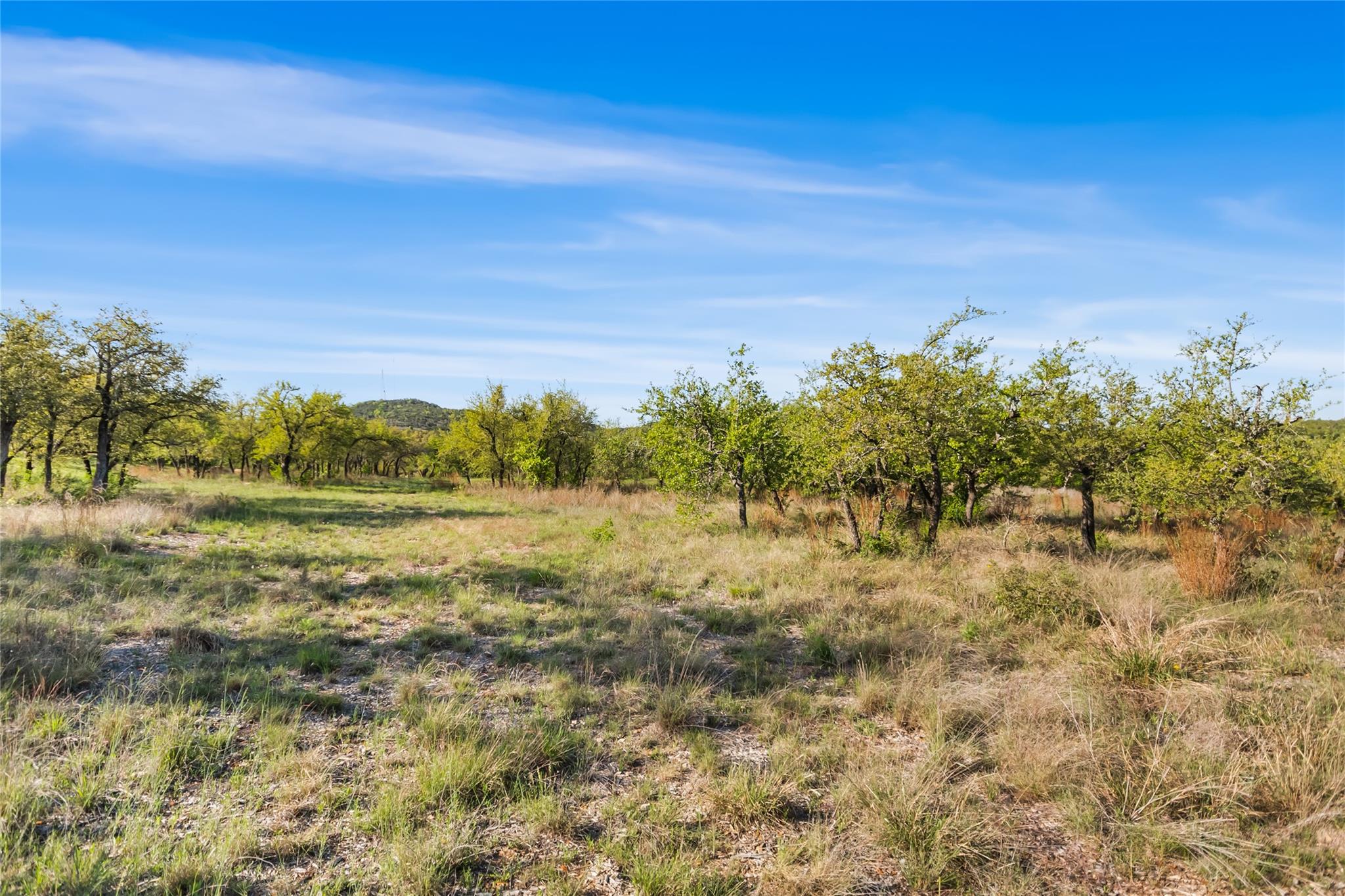 21411 Hamilton Pool Rd, Dripping Springs, TX 78620