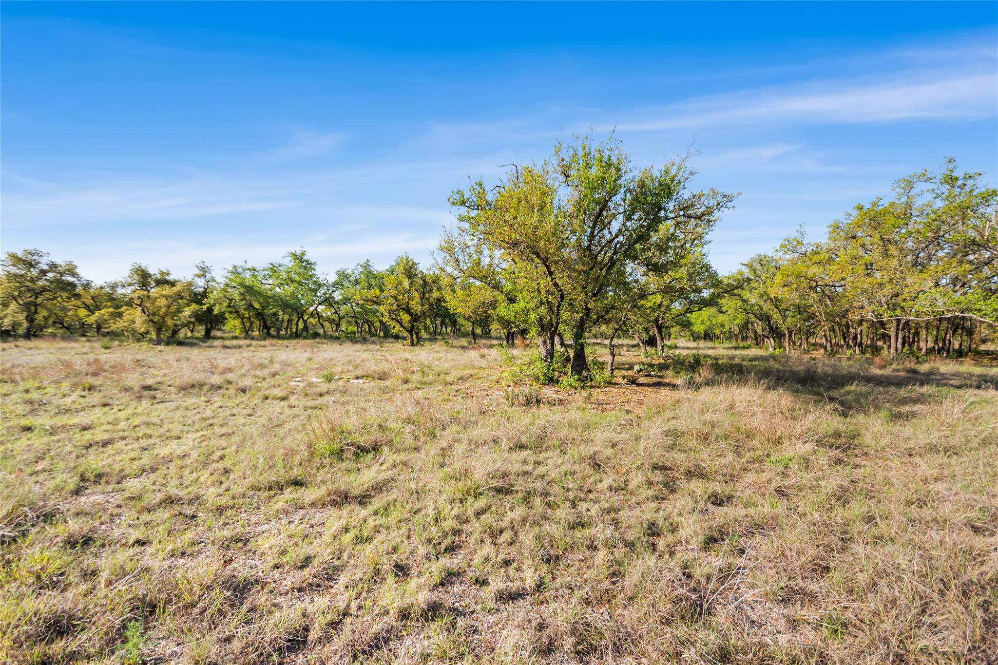21411 Hamilton Pool Rd, Dripping Springs, TX 78620