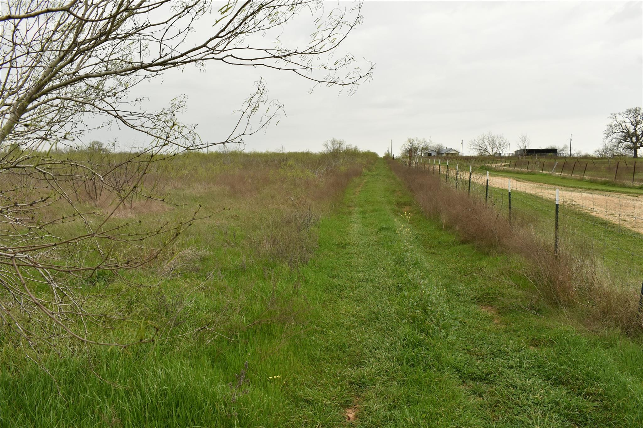 TBD Anderson Ln, Red Rock, TX 78662