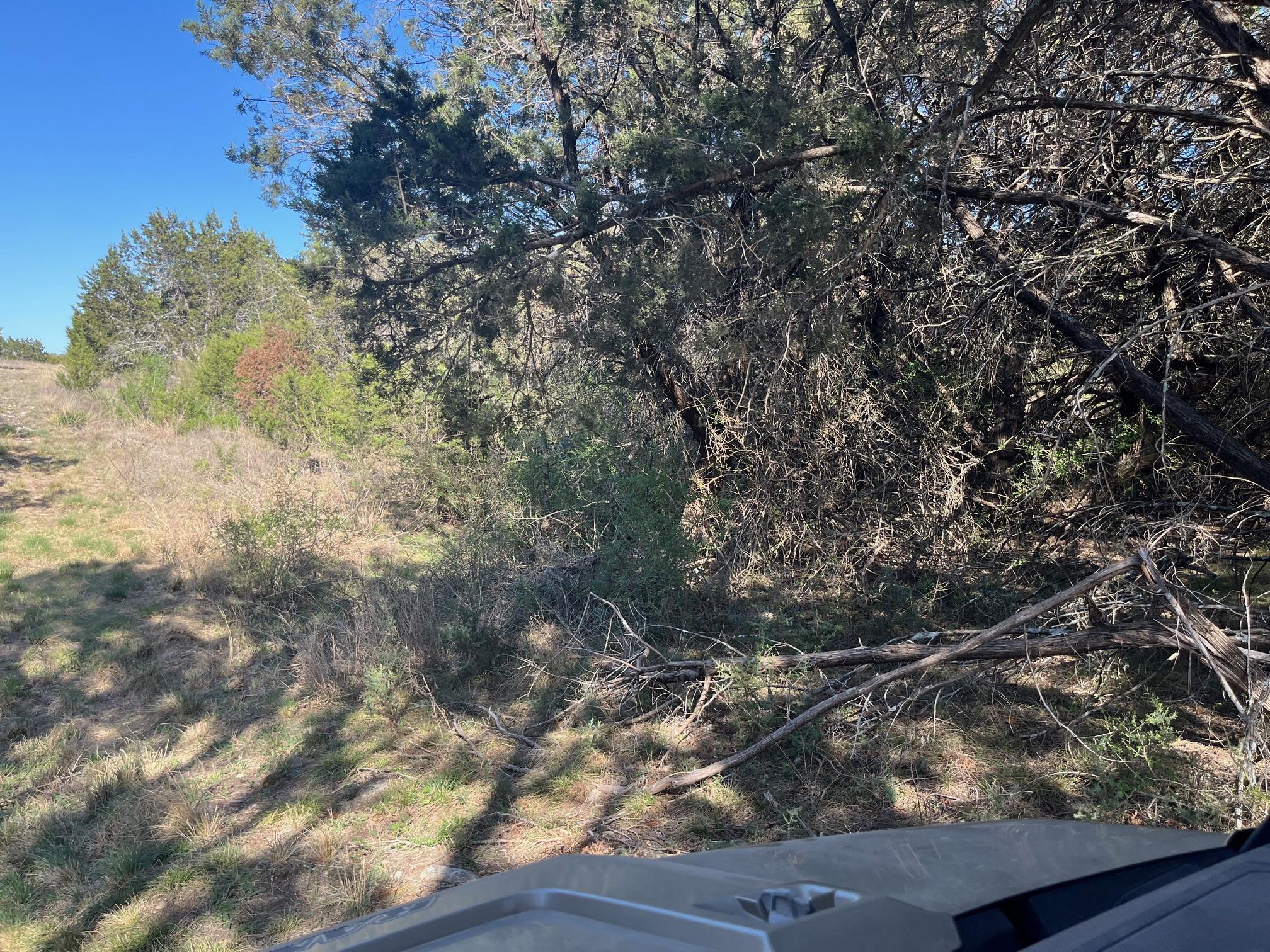 0 US Hwy 183 N Highway, Lometa, TX 76853