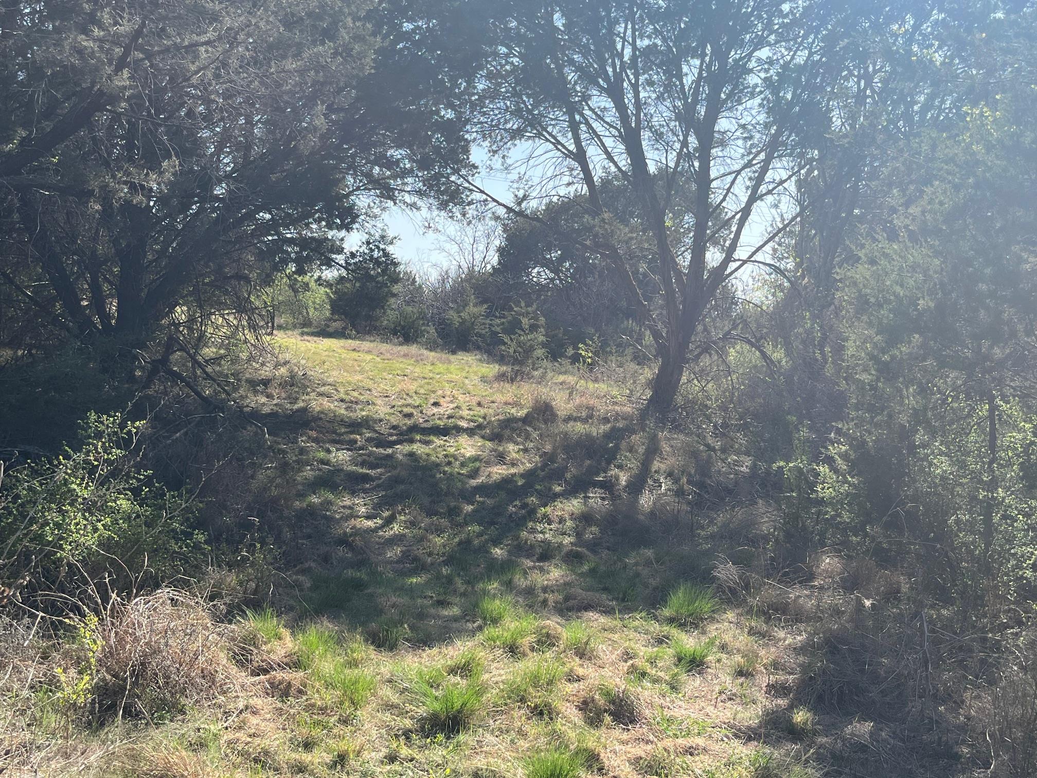 0 US Hwy 183 N Highway, Lometa, TX 76853