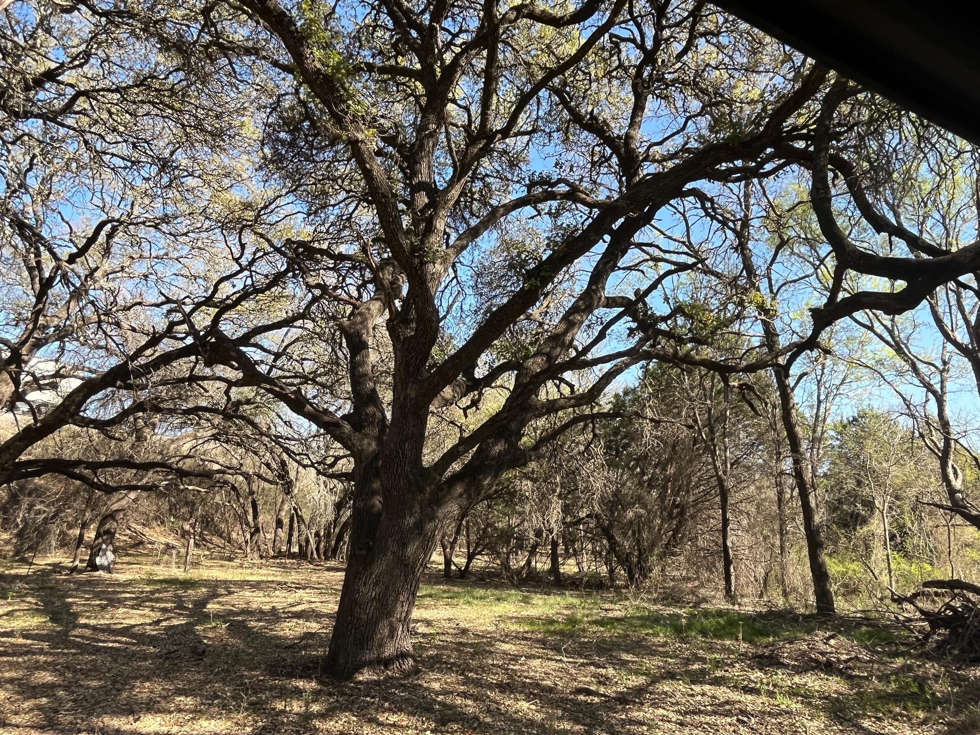 0 US Hwy 183 N Highway, Lometa, TX 76853