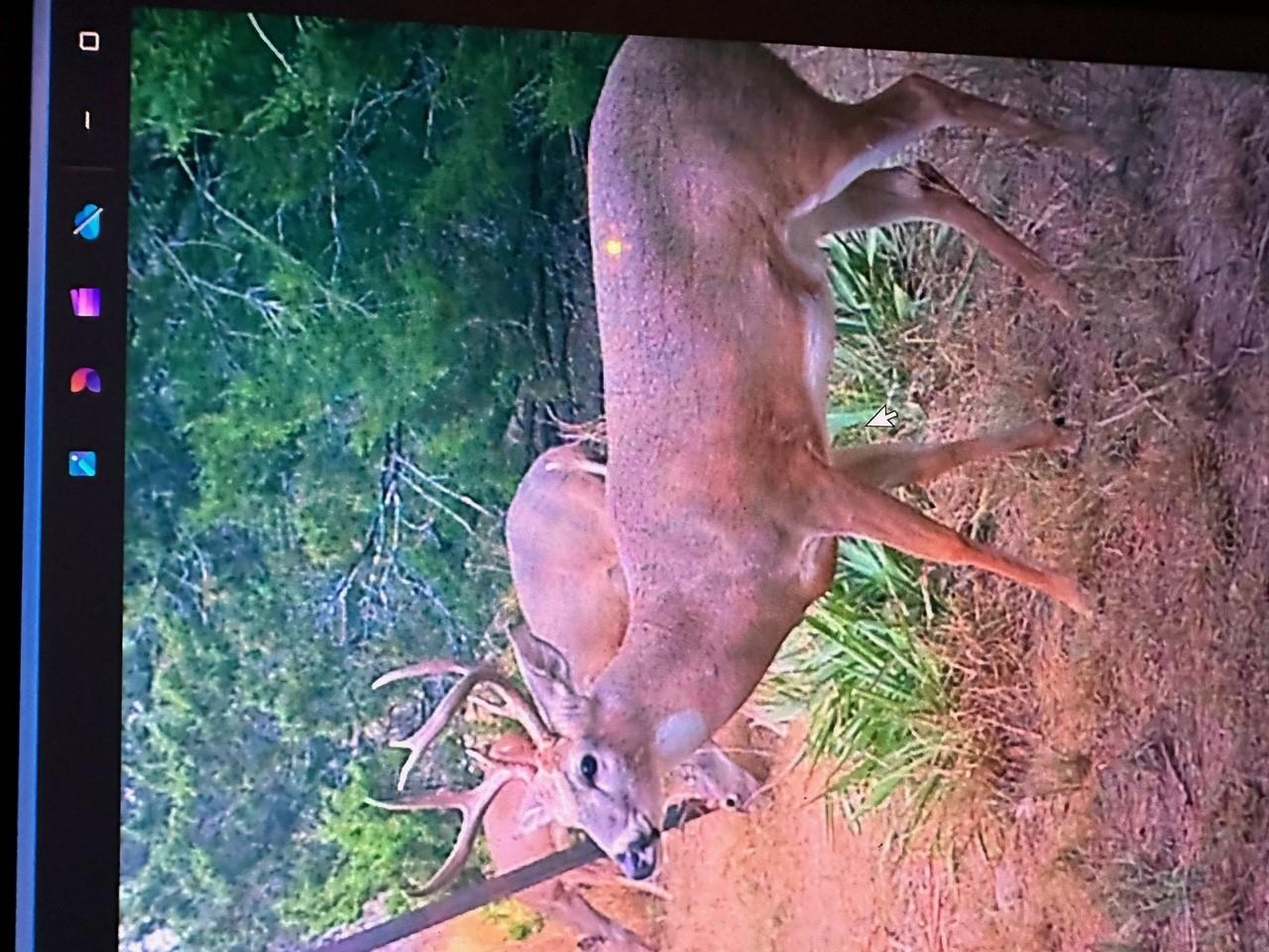 0 US Hwy 183 N Highway, Lometa, TX 76853