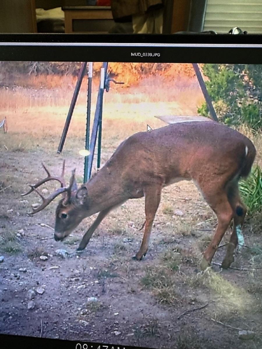 0 US Hwy 183 N Highway, Lometa, TX 76853