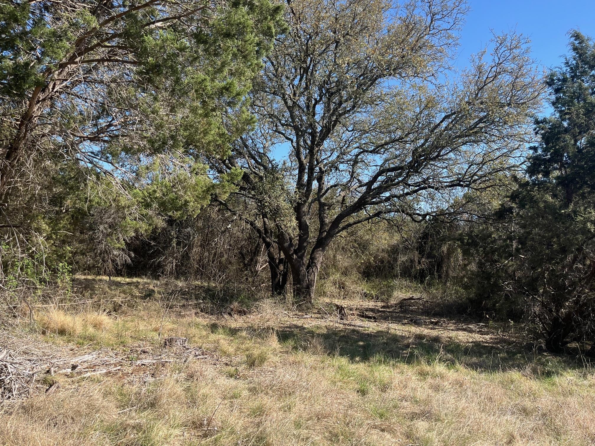 0 US Hwy 183 N Highway, Lometa, TX 76853