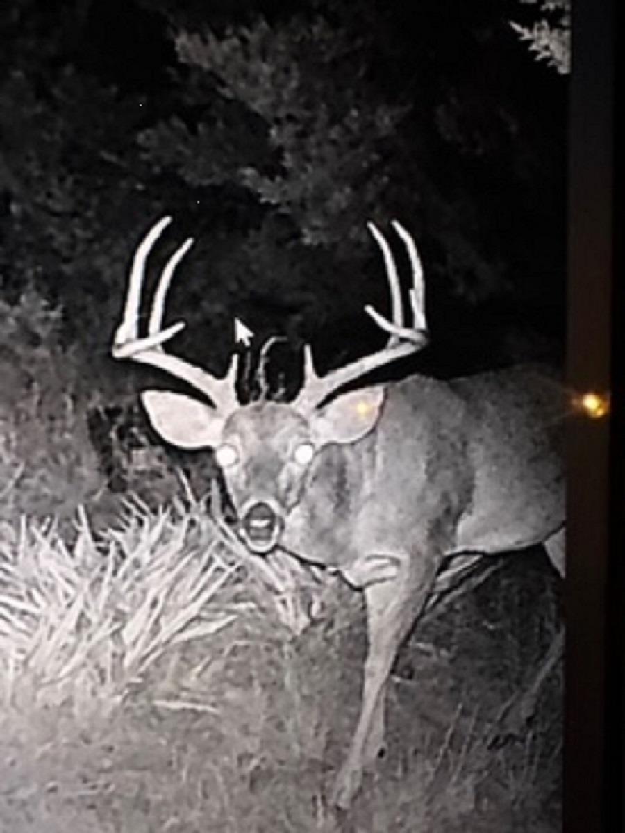 0 US Hwy 183 N Highway, Lometa, TX 76853