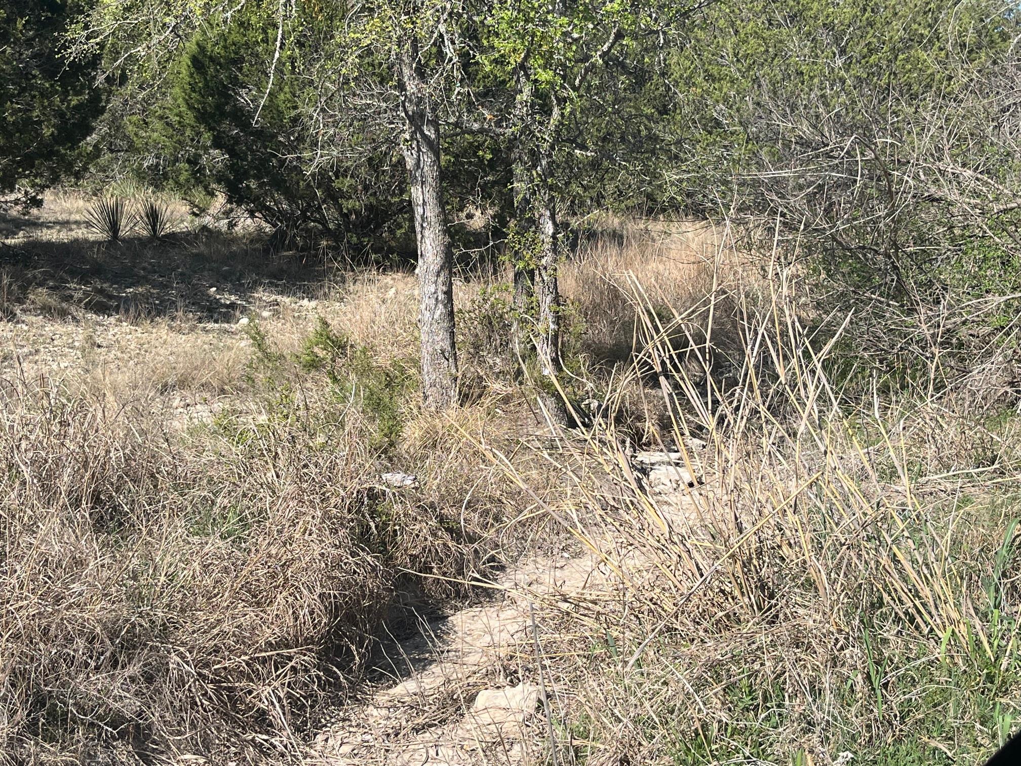 0 US Hwy 183 N Highway, Lometa, TX 76853