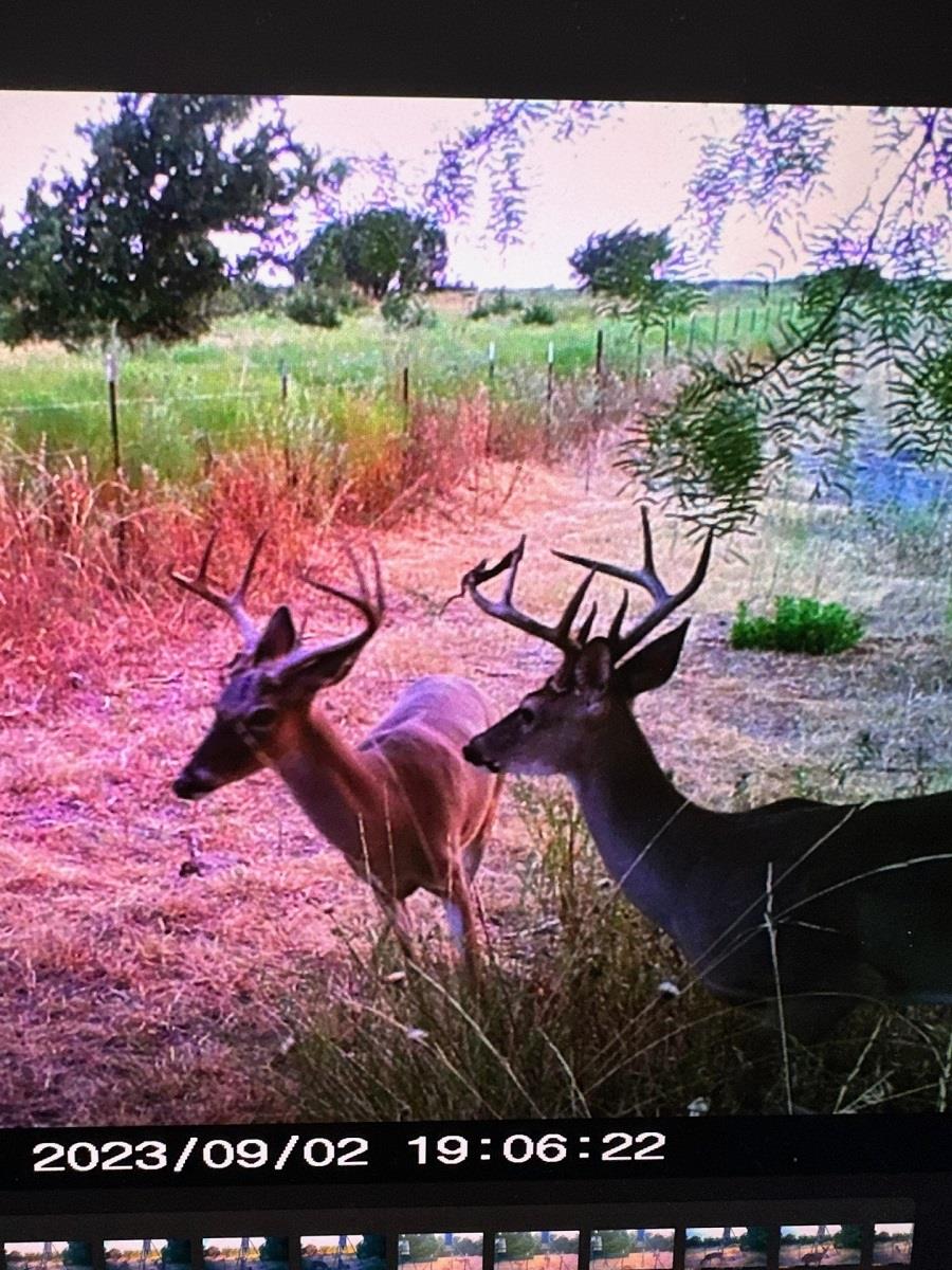 0 US Hwy 183 N Highway, Lometa, TX 76853