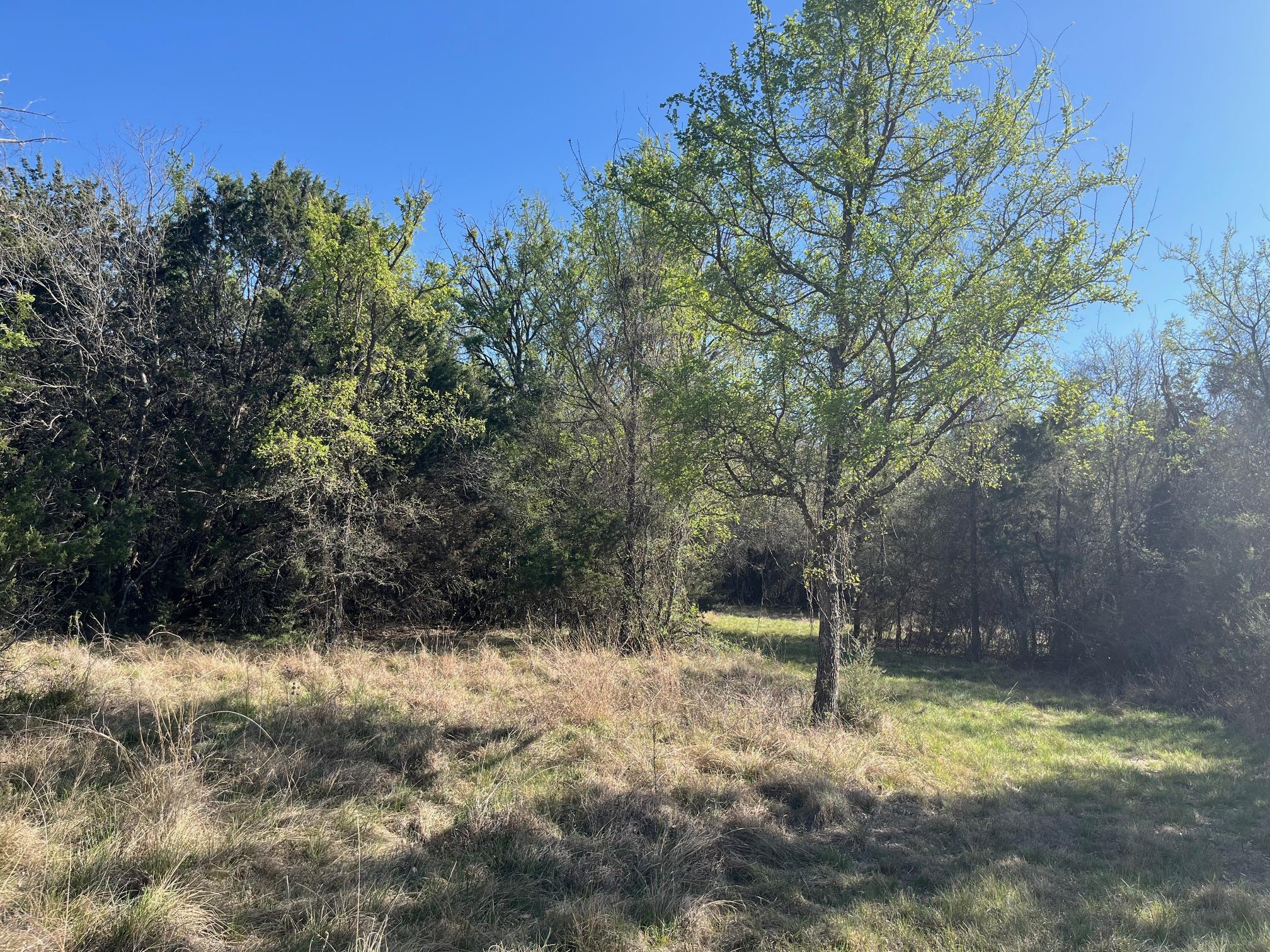 0 US Hwy 183 N Highway, Lometa, TX 76853