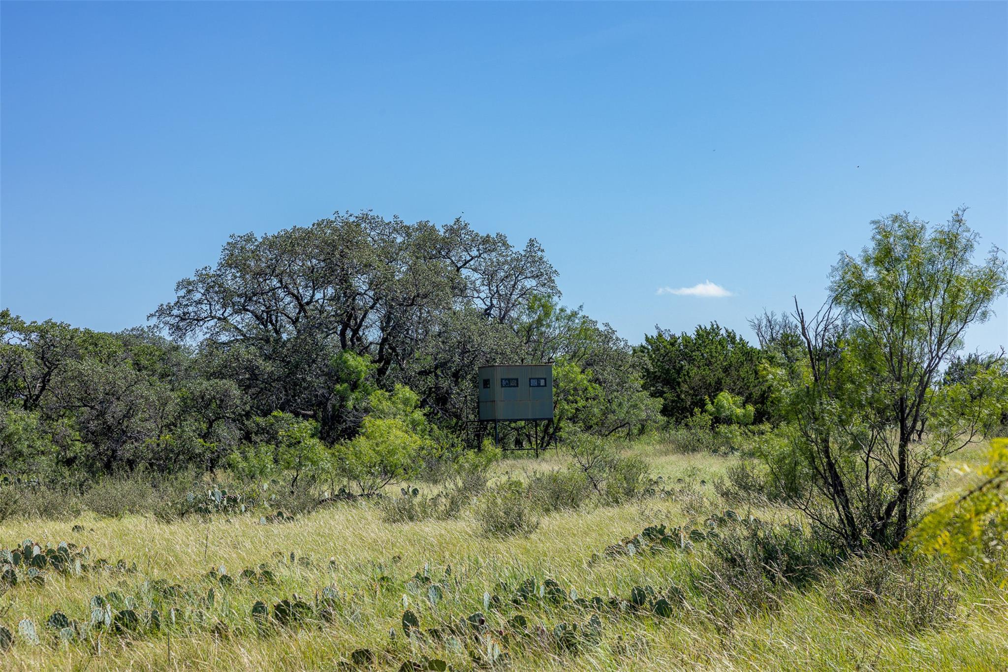 2050 W. 17th St, Brady, TX 76825