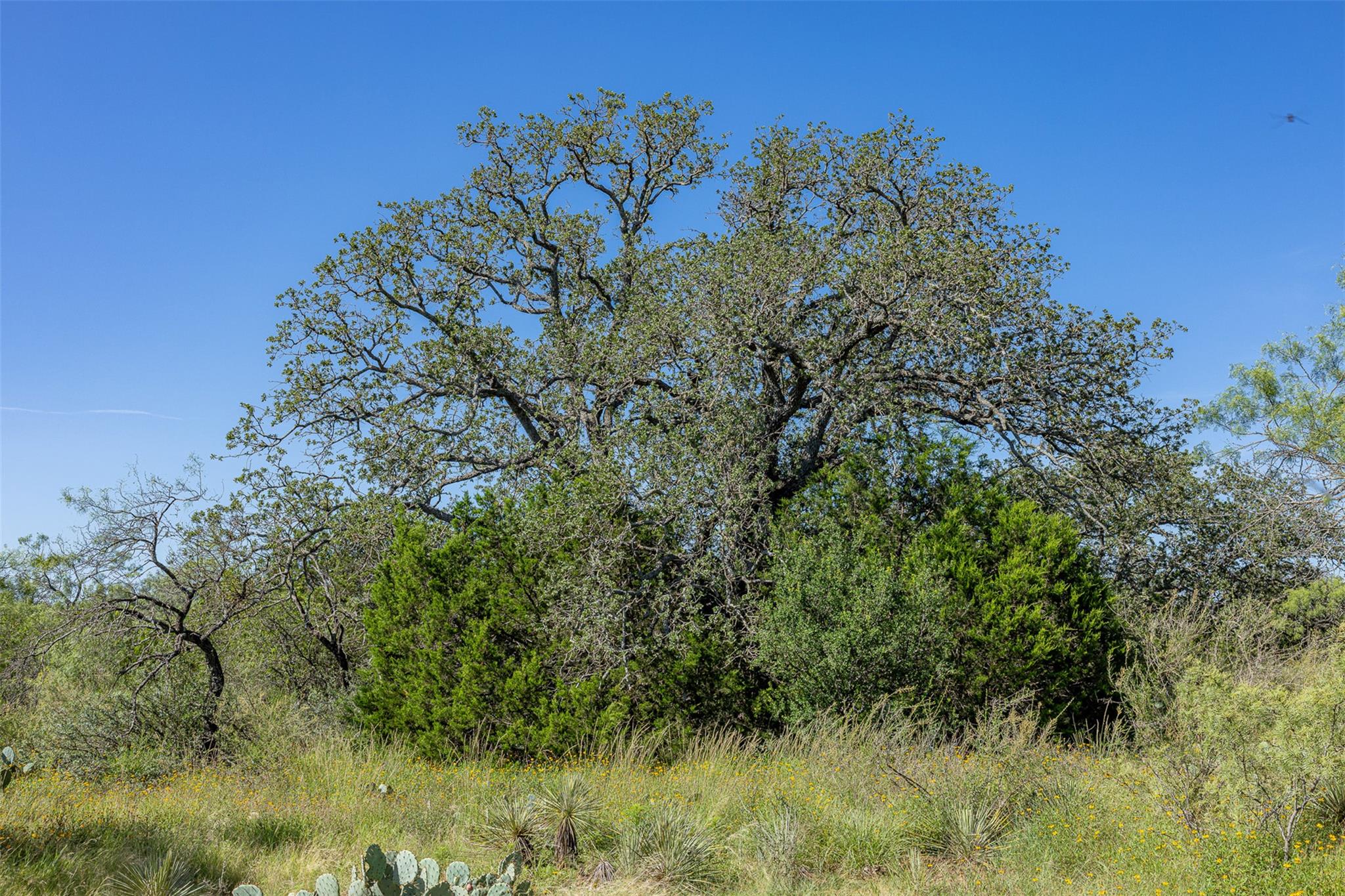 2050 W. 17th St, Brady, TX 76825