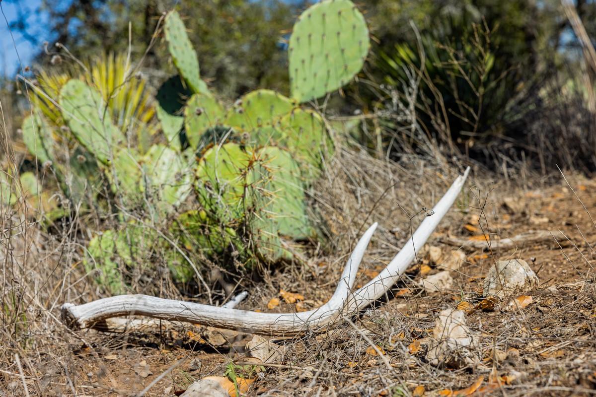 2050 W. 17th St, Brady, TX 76825