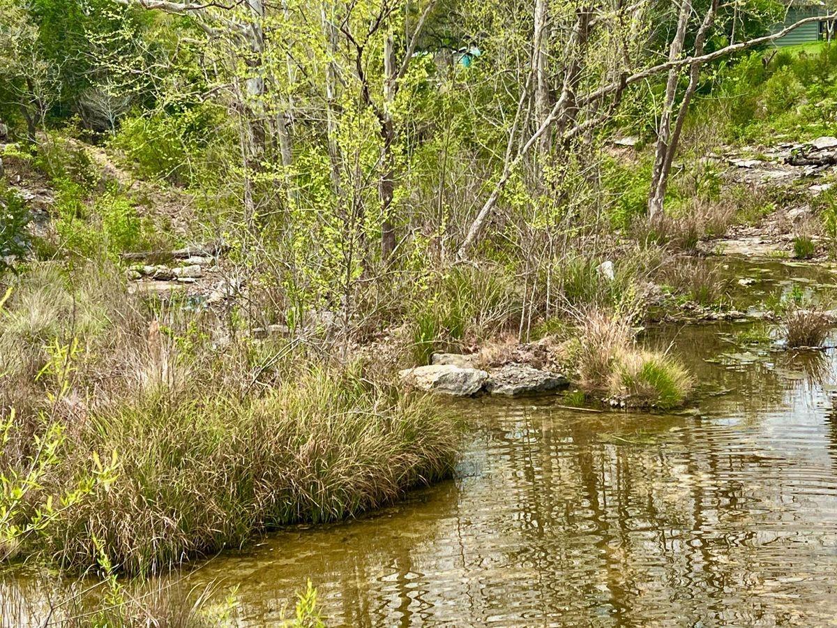 148 Red Hawk Rd, Wimberley, TX 78676