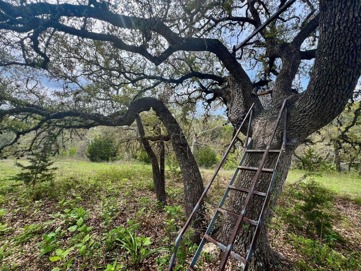 148 Red Hawk Rd, Wimberley, TX 78676