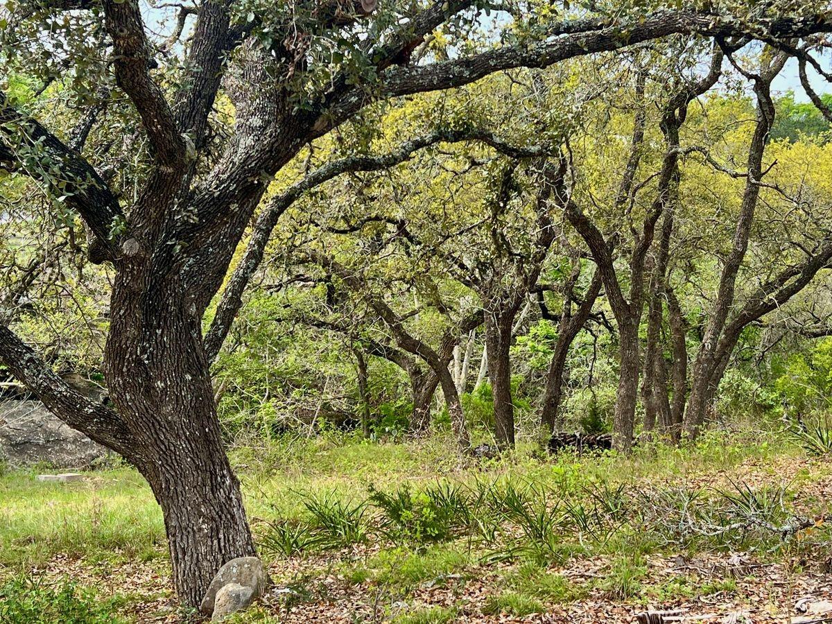 148 Red Hawk Rd, Wimberley, TX 78676