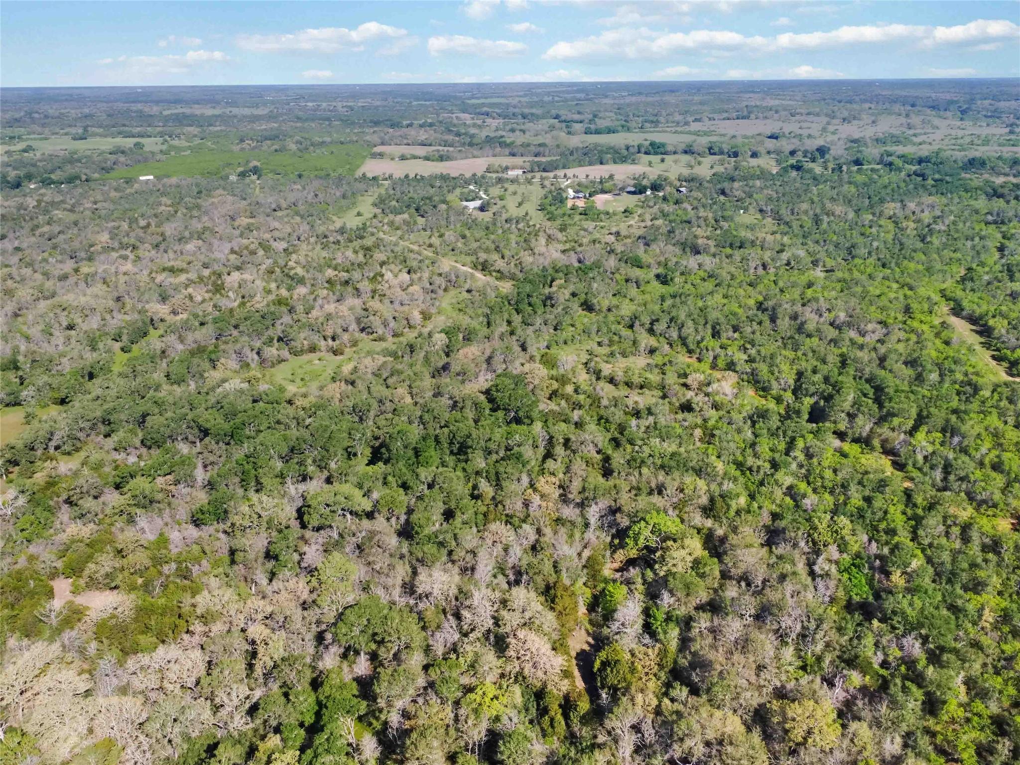 TBD High Grove Rd, Cedar Creek, TX 78612