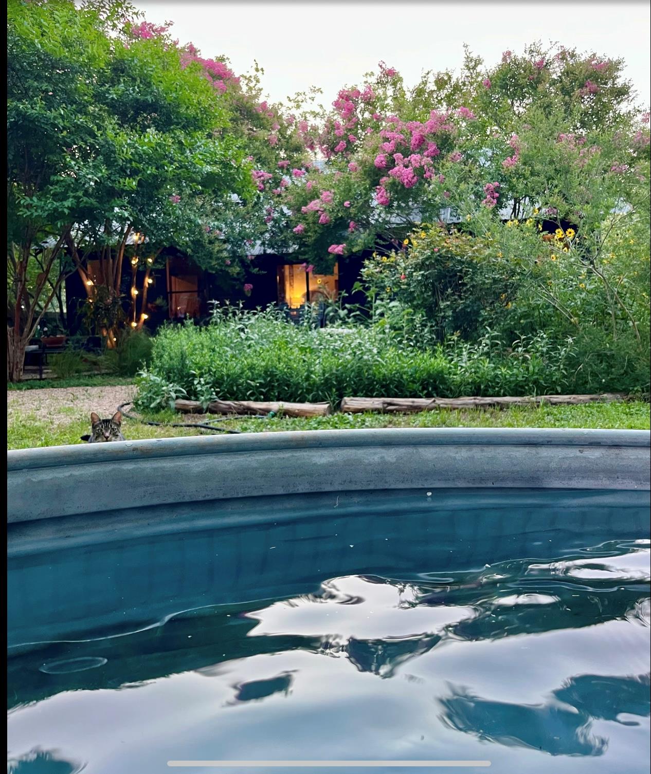 708 W Prairie Lea St, Lockhart, TX 78644