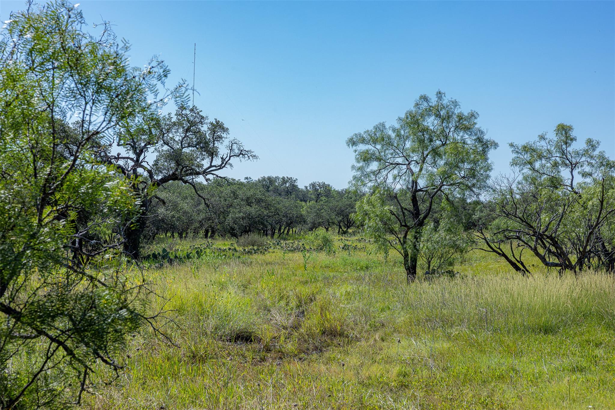 Tract 1 2050 W 17th St, Brady, TX 76825