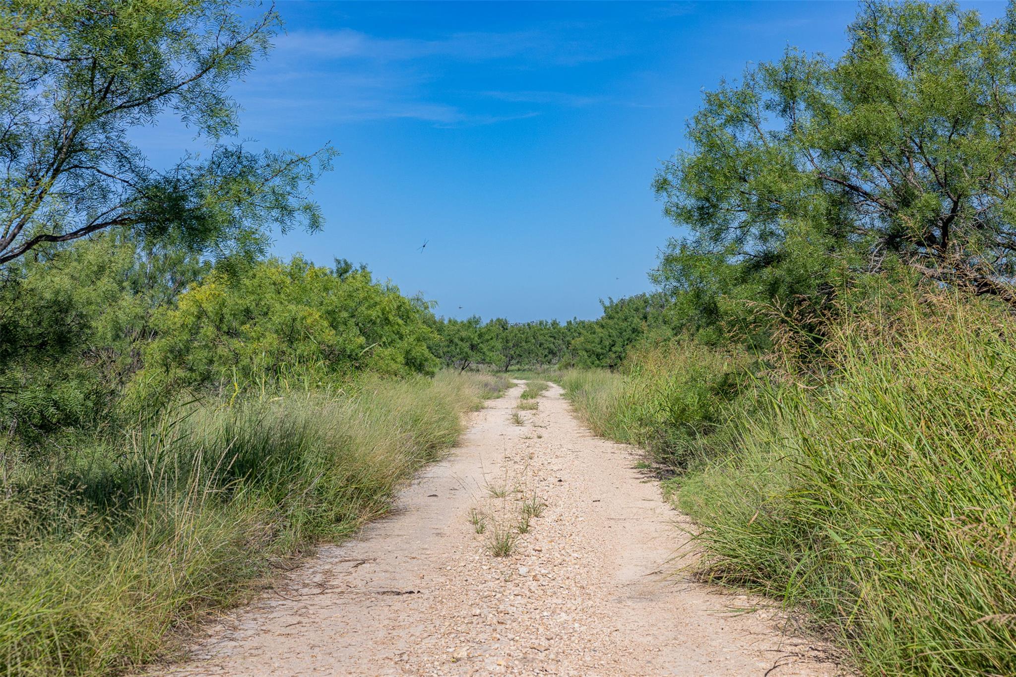 Tract 1 2050 W 17th St, Brady, TX 76825