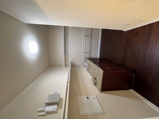 316 Braylen Cv, Austin, TX 78748