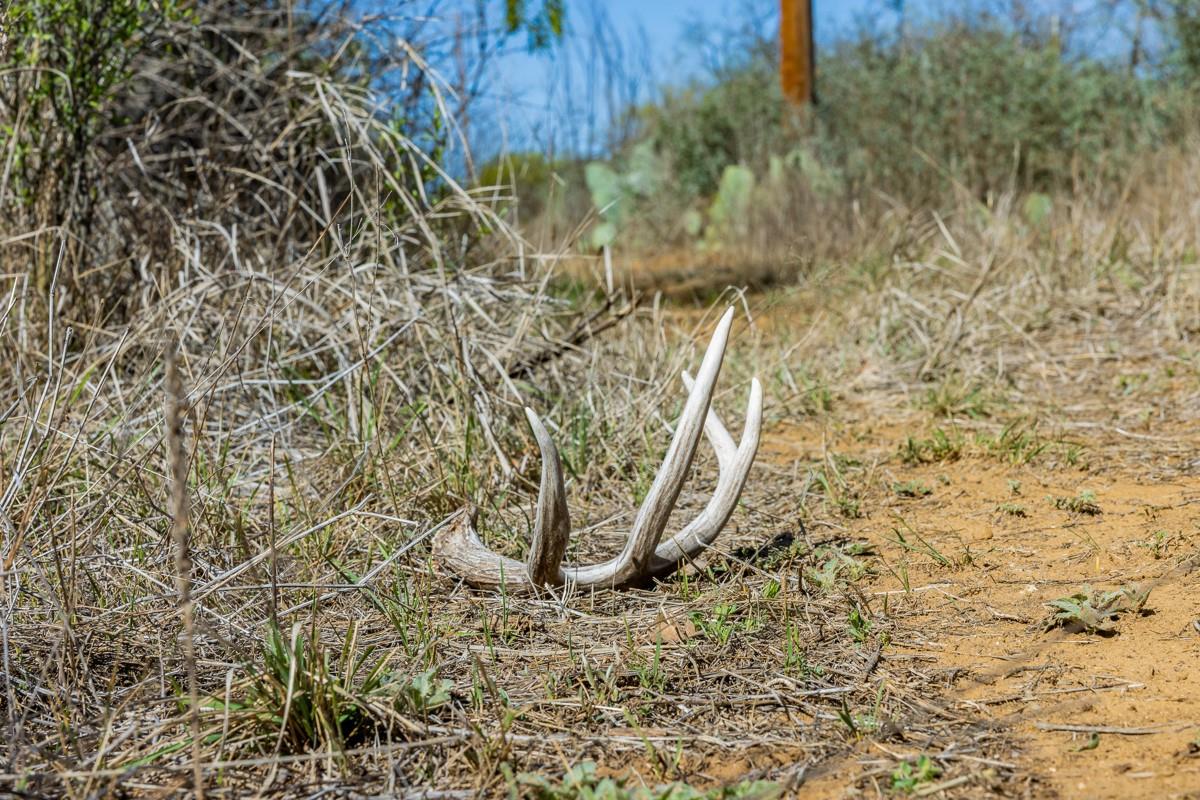 Tract 2 2050 W 17th St, Brady, TX 76825