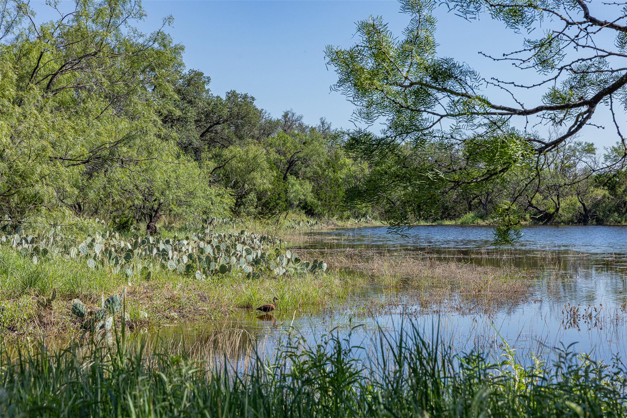 Tract 2 2050 W 17th St, Brady, TX 76825