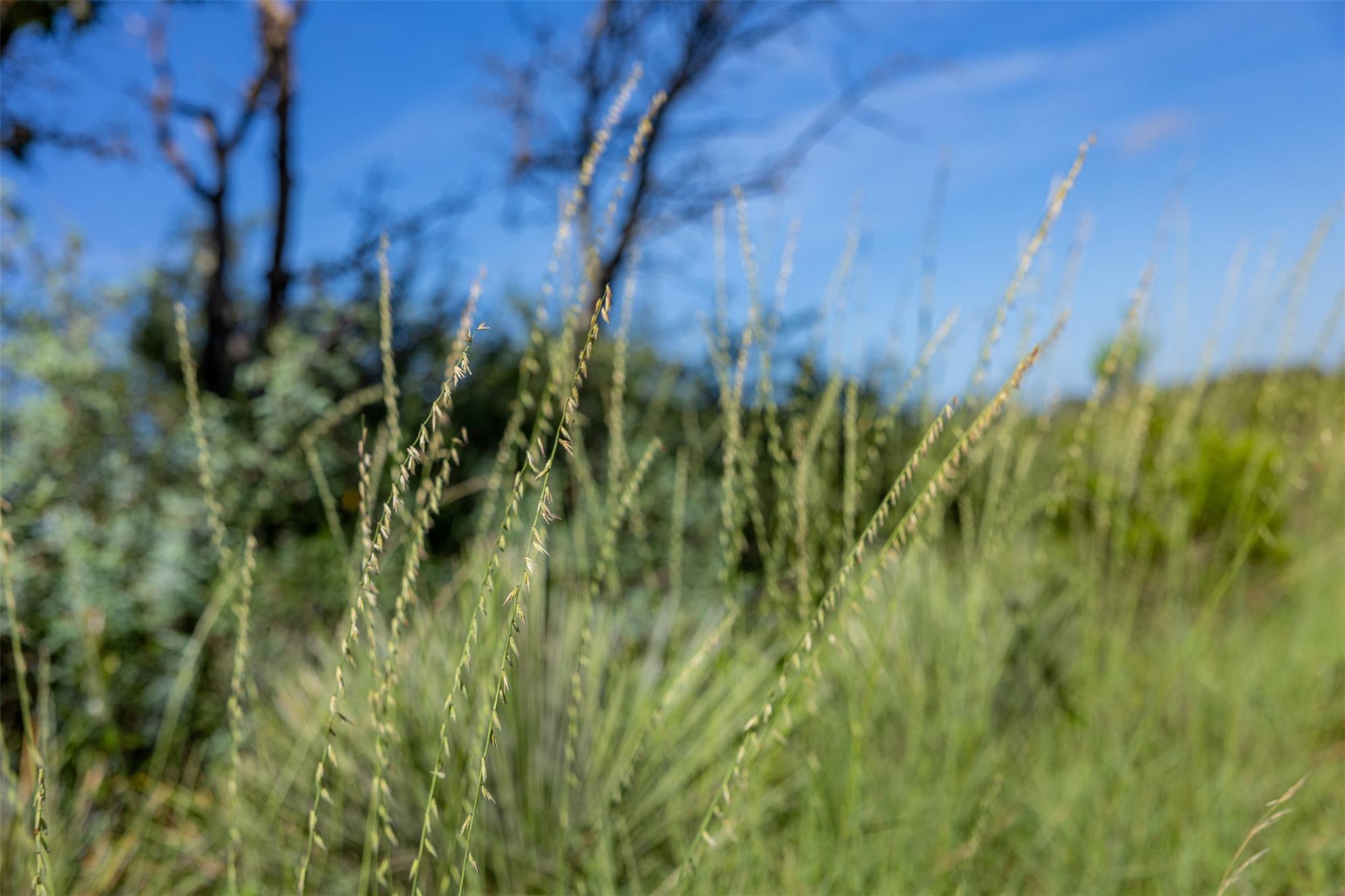 Tract 2 2050 W 17th St, Brady, TX 76825