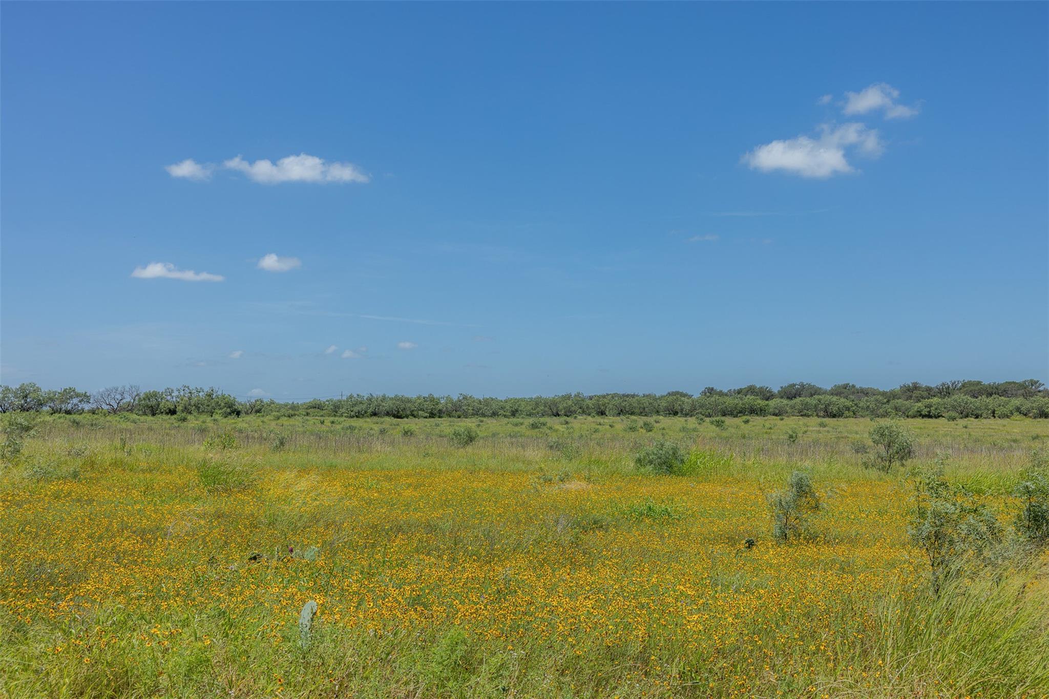 000 W. 17th St, Brady, TX 76825