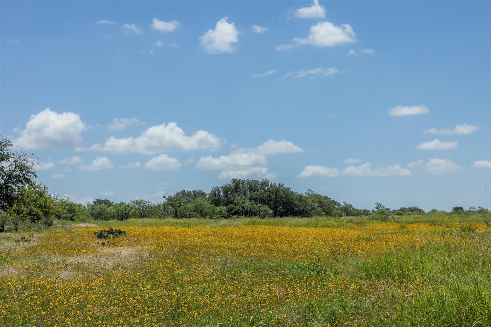 000 W. 17th St, Brady, TX 76825