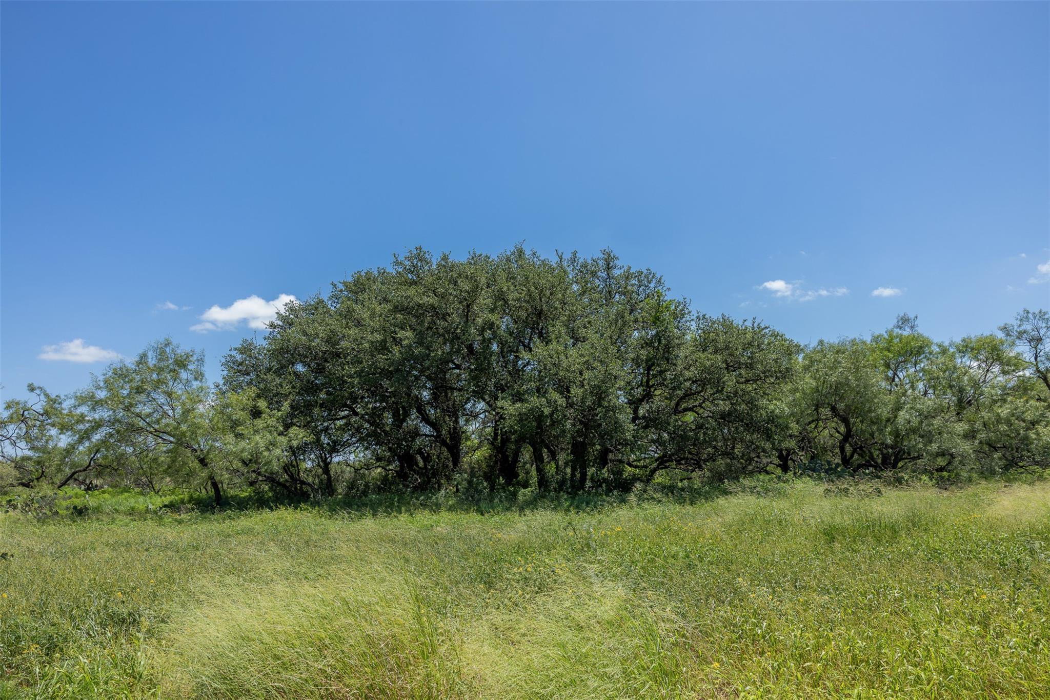 000 W. 17th St, Brady, TX 76825