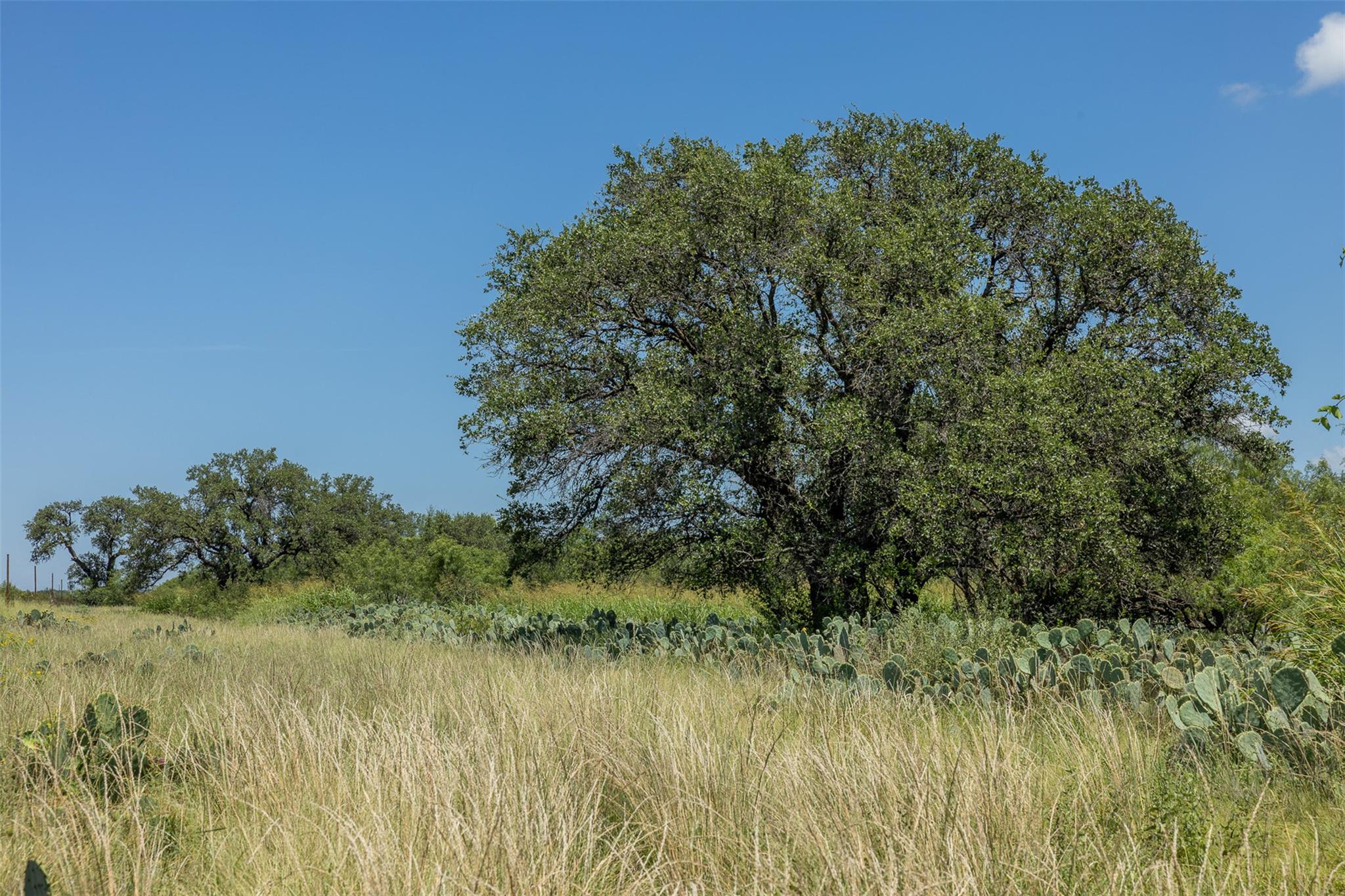 000 W. 17th St, Brady, TX 76825