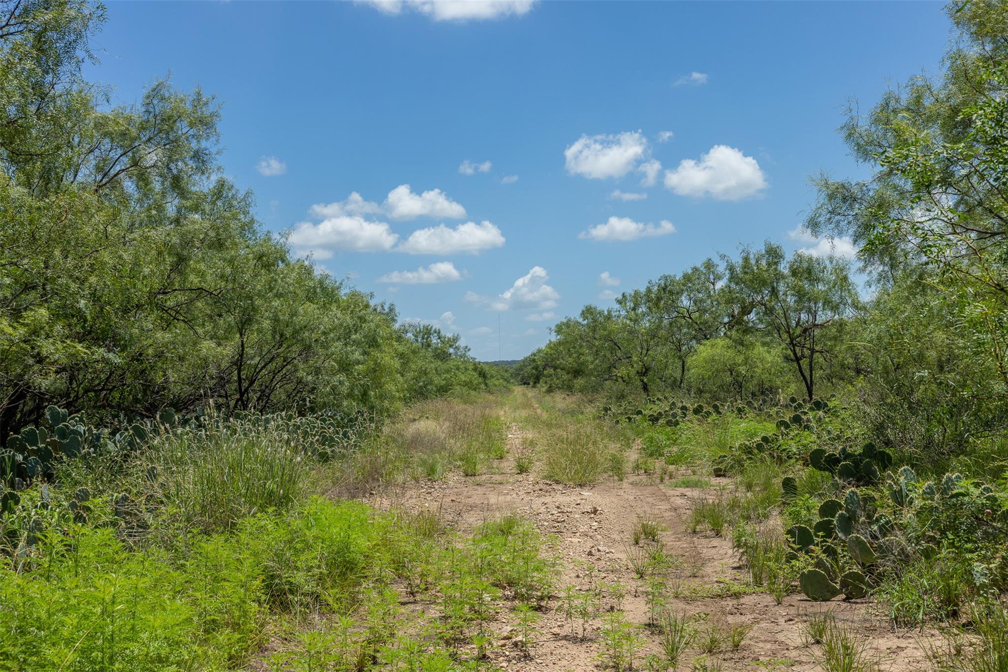 000 W. 17th St, Brady, TX 76825