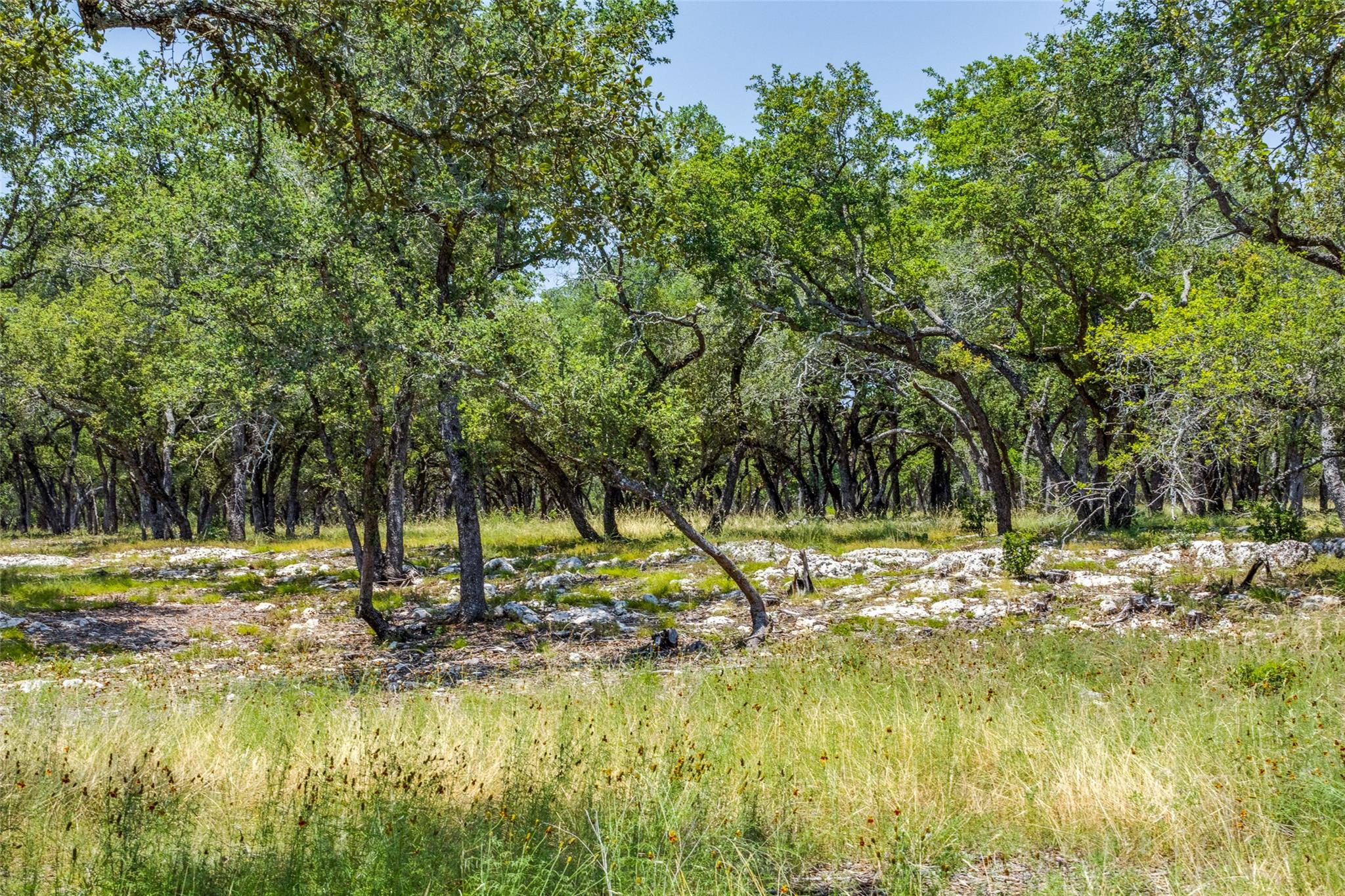 233 Kasten Rd, Boerne, TX 78006