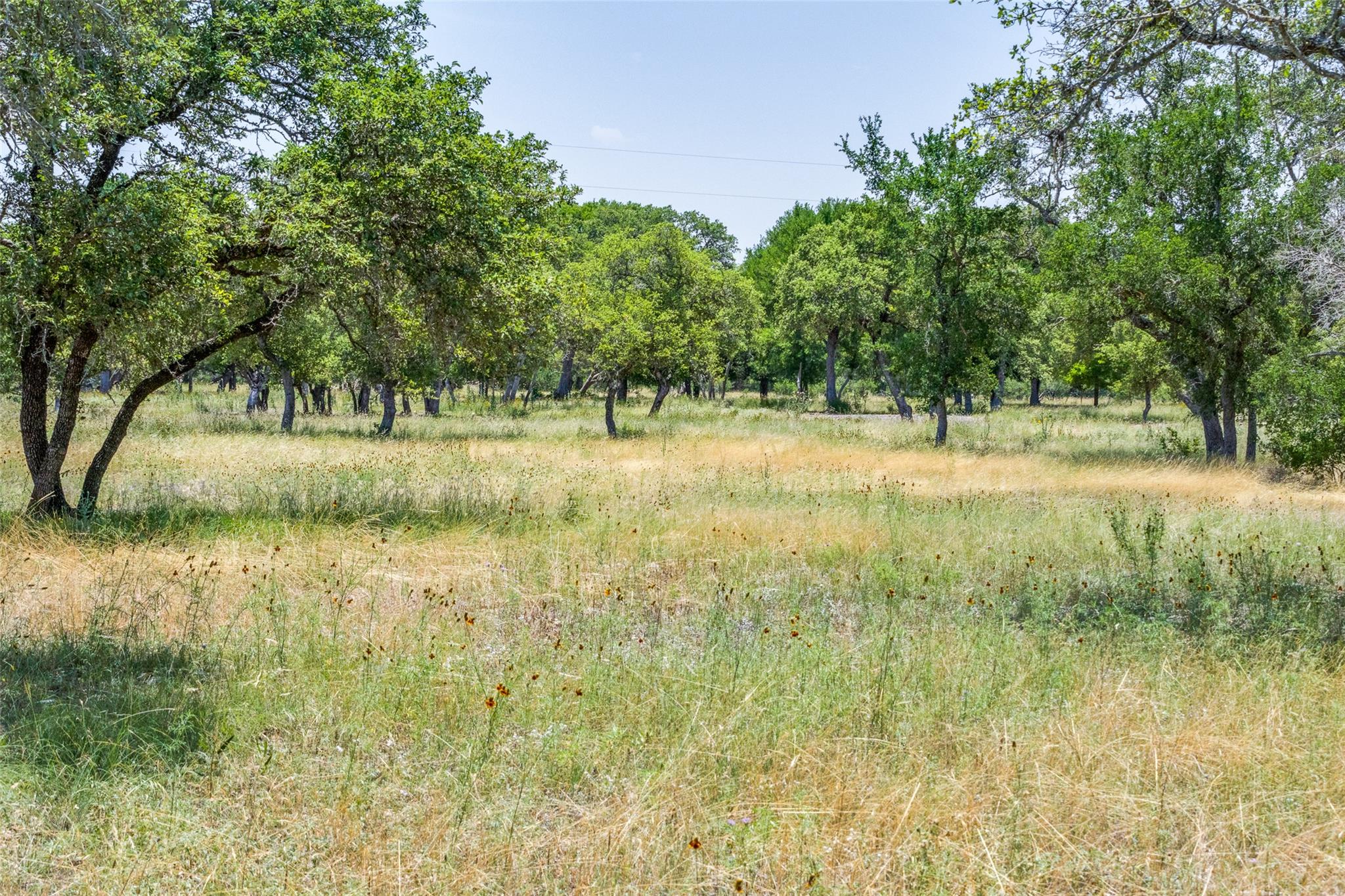 233 Kasten Rd, Boerne, TX 78006